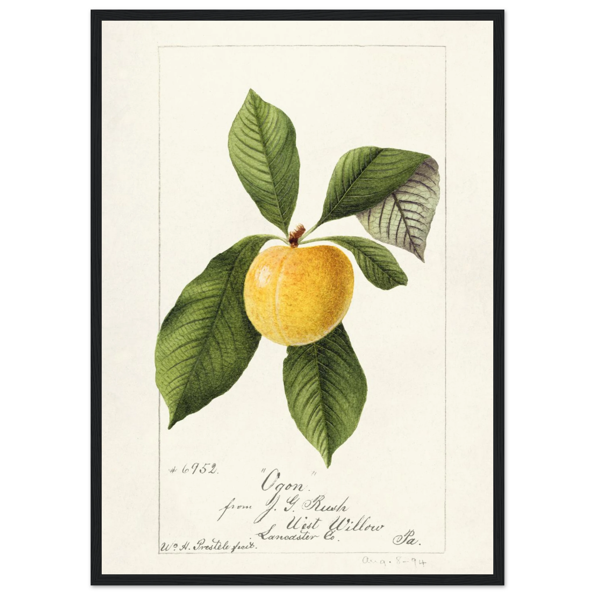 d8a844c1-2e52-4afb-b992-afa1442faebe