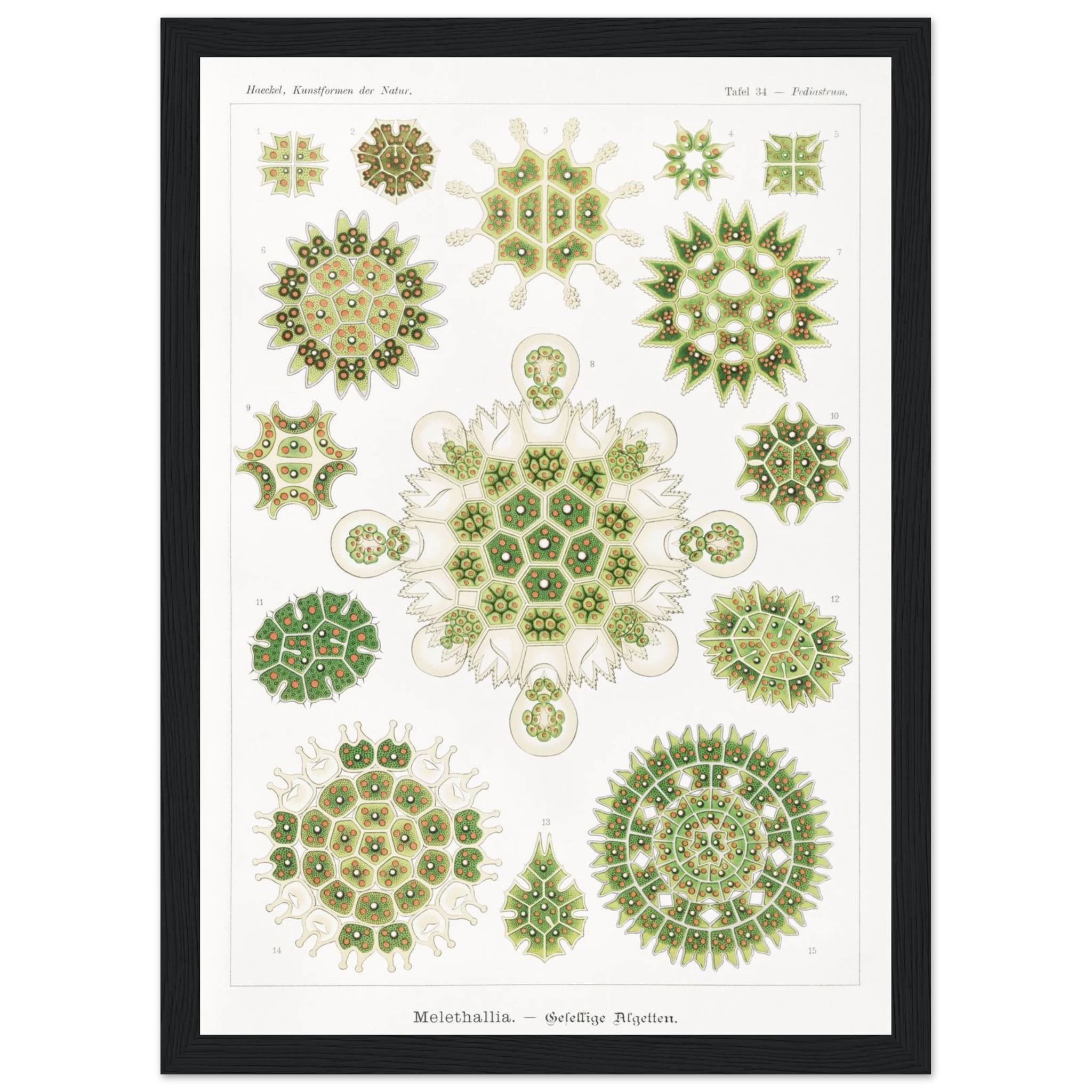 d8a9a17b-04e3-43be-9342-8f31390612c4