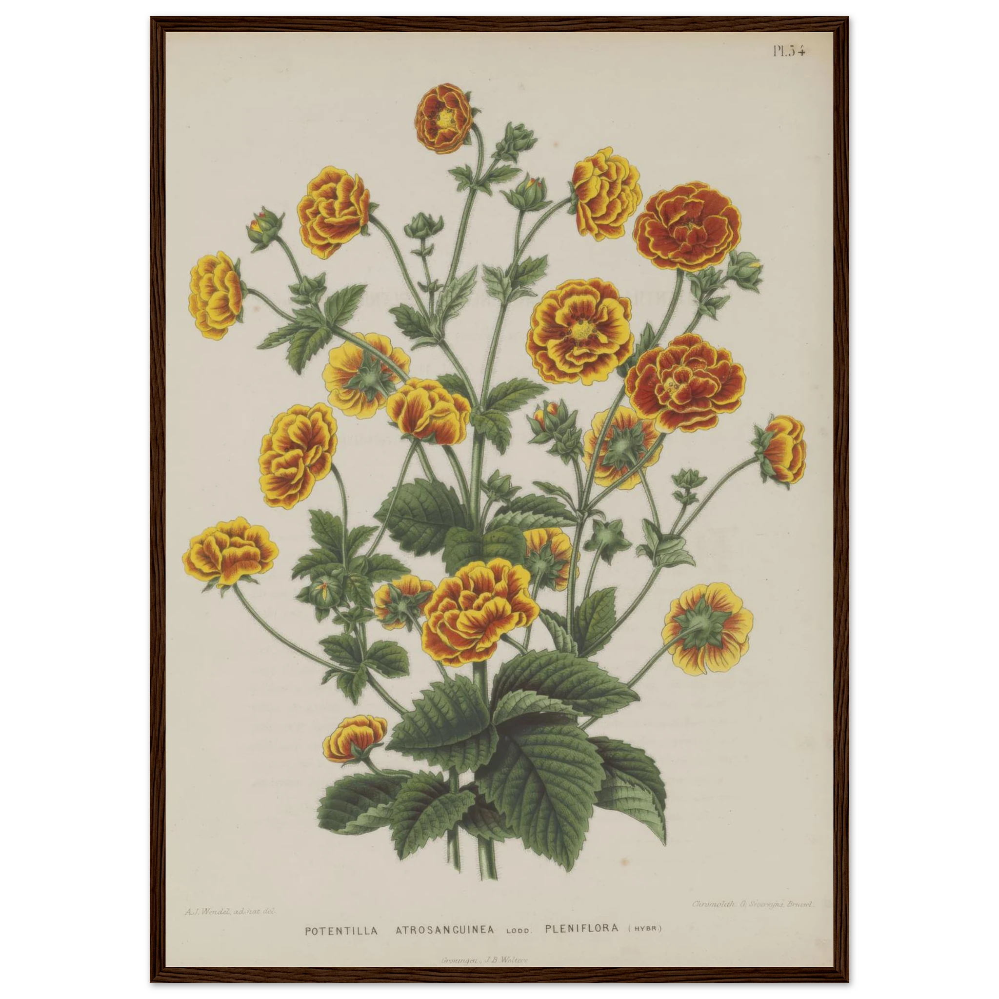 d9646198-e0db-461c-81f2-e158977d034f