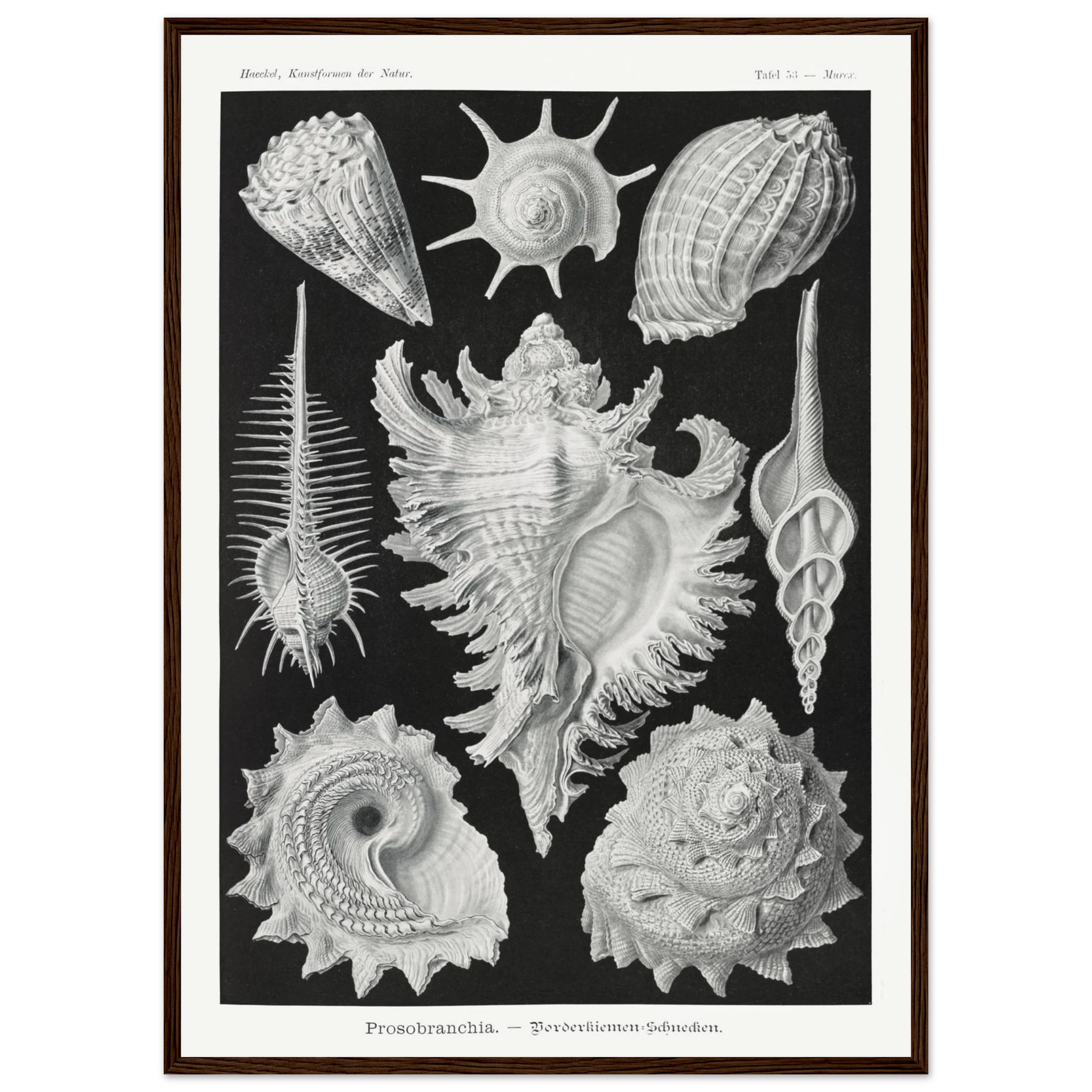 d9d05a5a-4e21-4cc4-8ea1-af85e33c0b8c