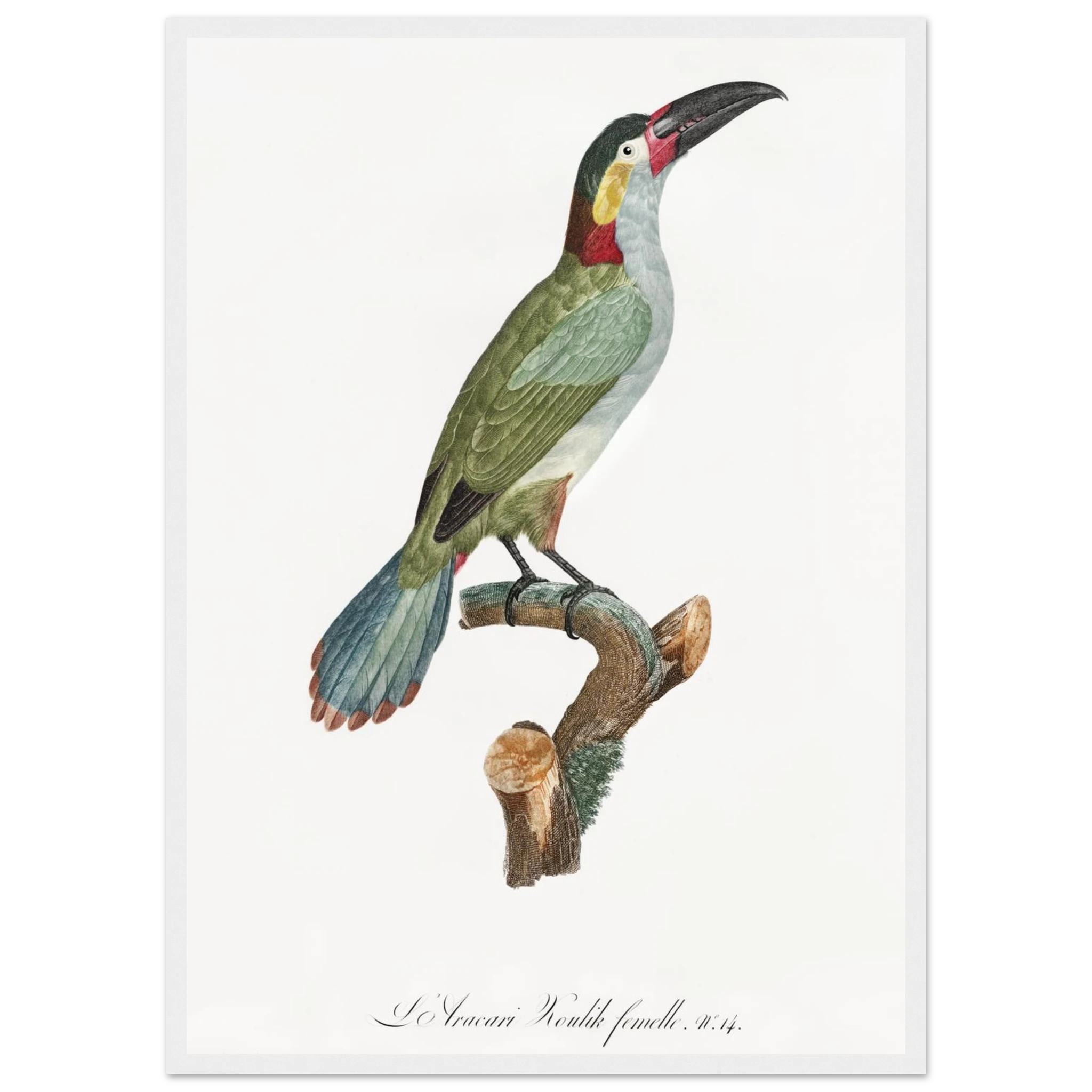 d9dc698b-7de9-411f-a74e-8126a485f51c