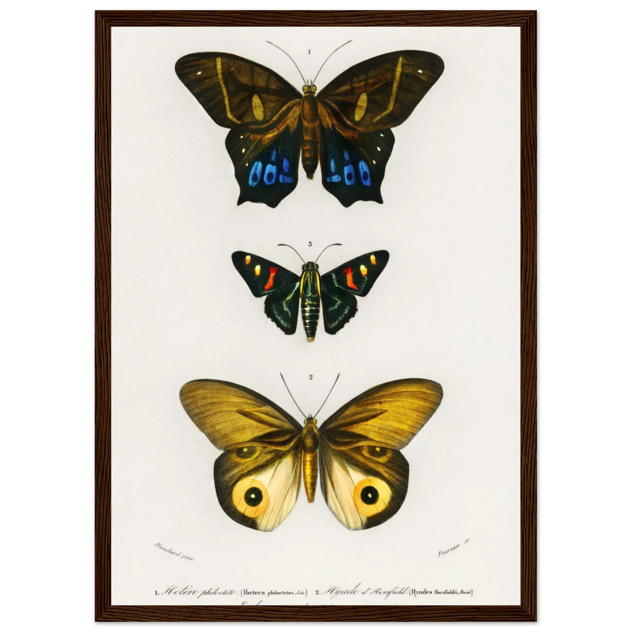 da1bce8c-2440-40fd-843e-dbbed2e55366