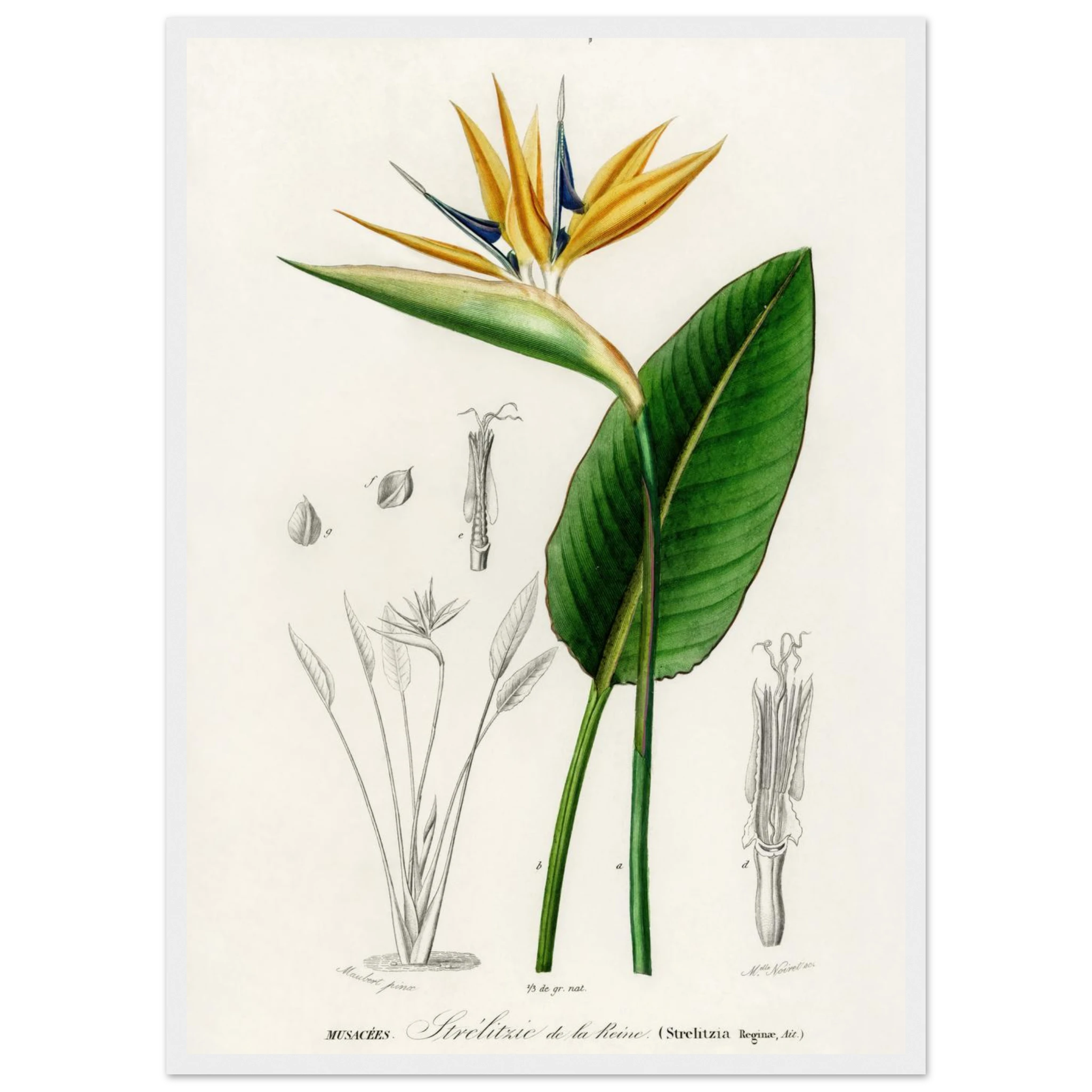 da52679c-6f1f-4c54-b58d-c13c78b7522e