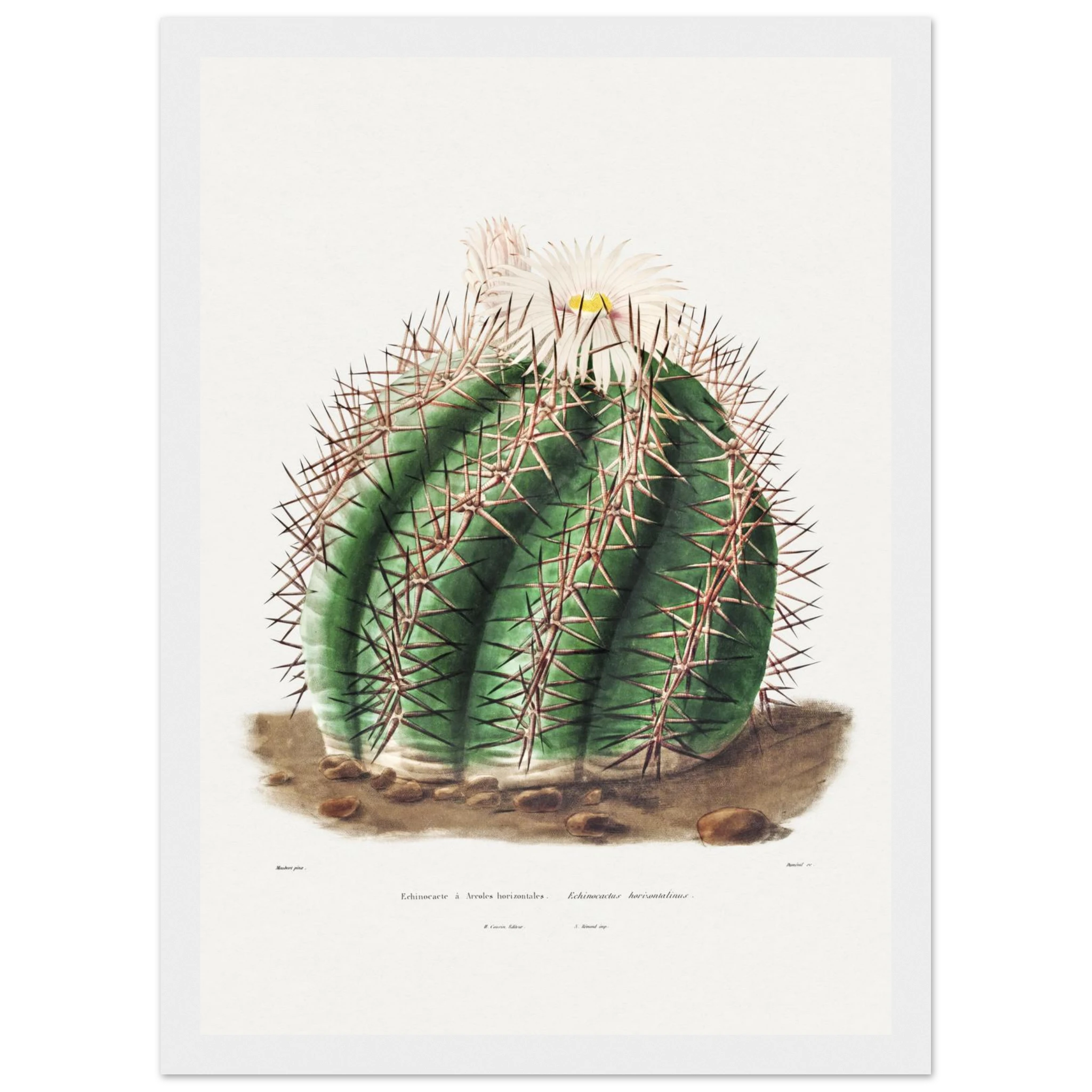 dac0252e-4e05-43f9-87f4-cde64fcfa0c1