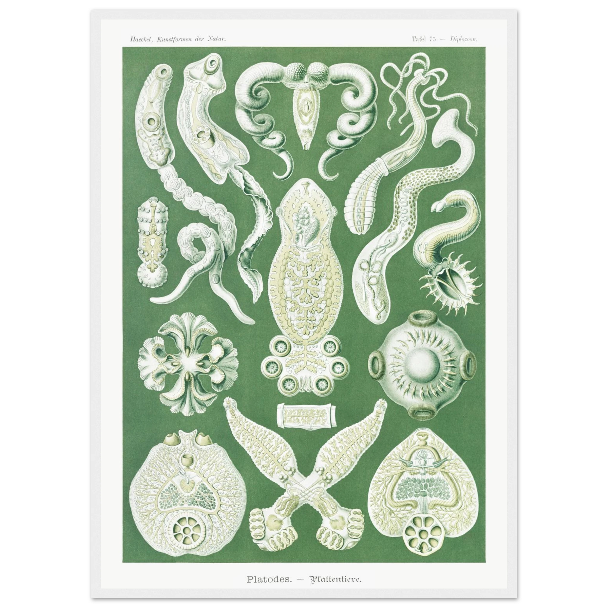 db16e904-7105-435d-af18-ad94ed9904dd