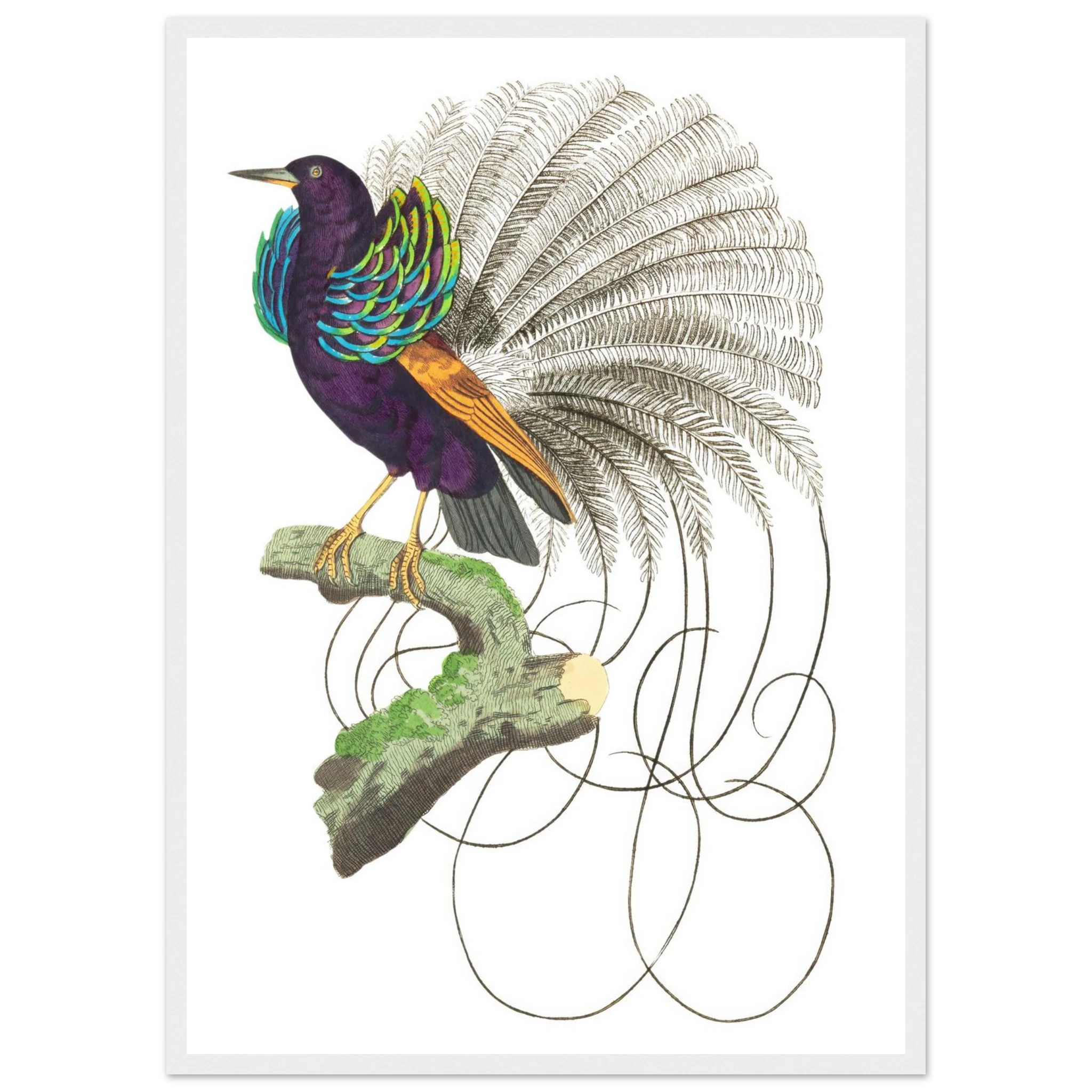 db3b3487-ef58-4e00-a561-dd7edd6c9482