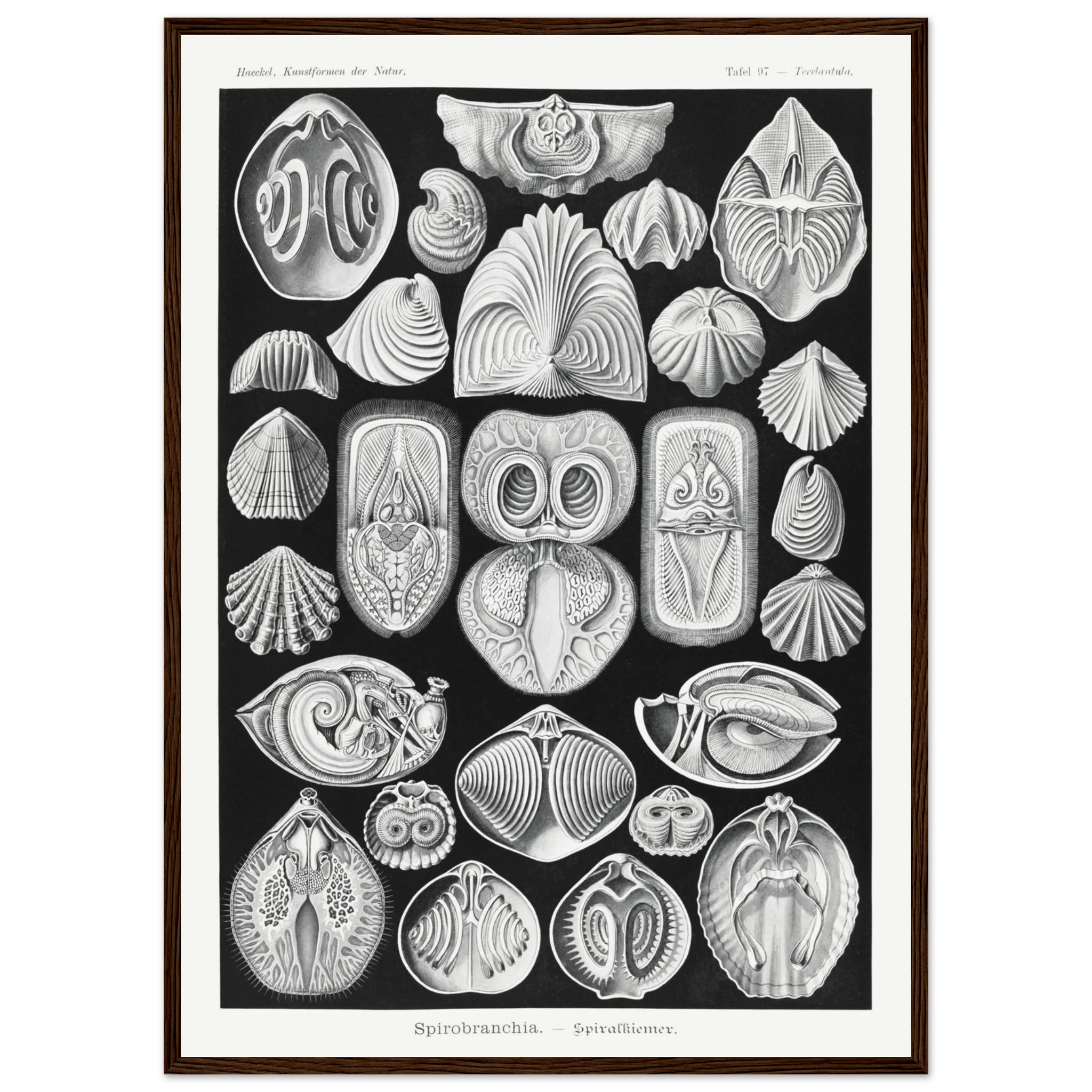 db463390-149f-4ef2-9331-213707fb8195