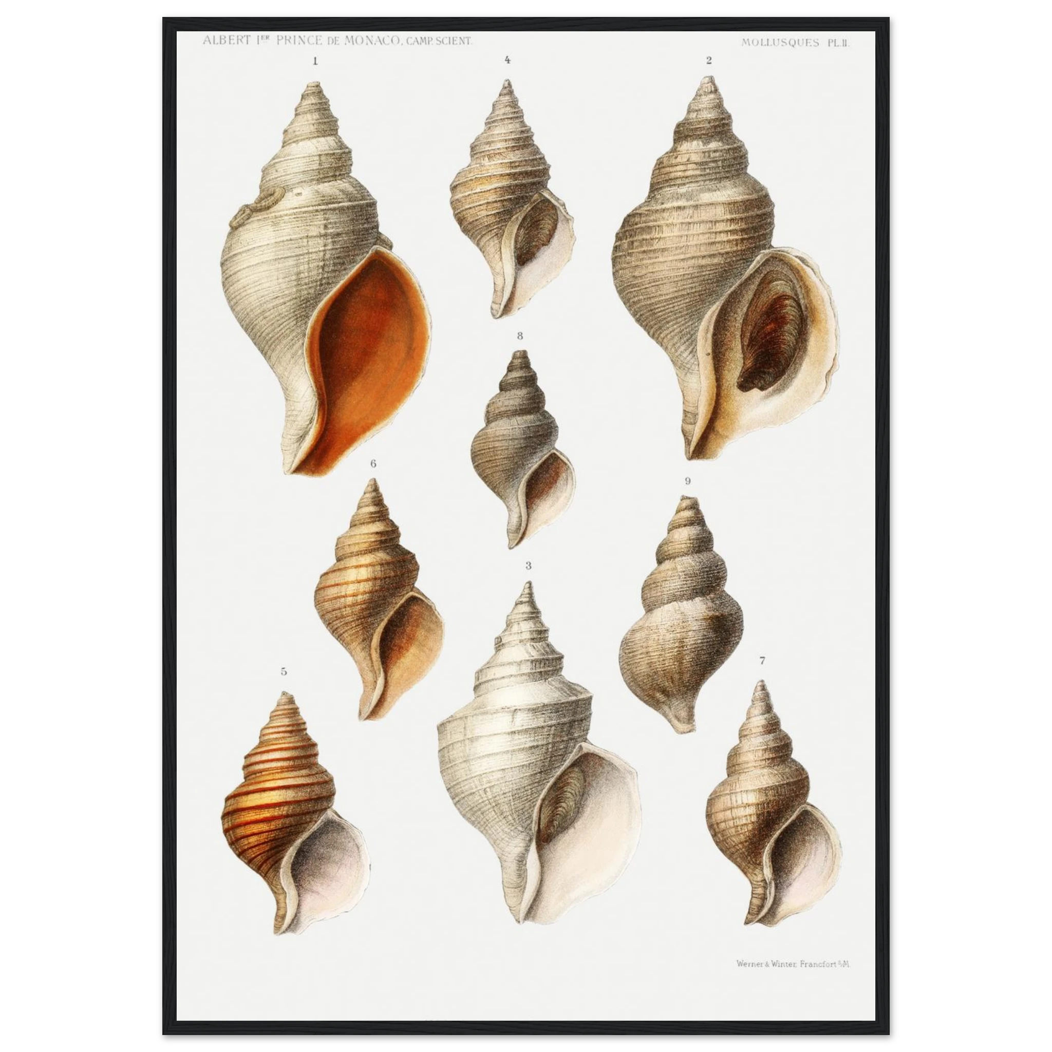 db494a06-a3b2-49fc-9443-90fa941f61ba