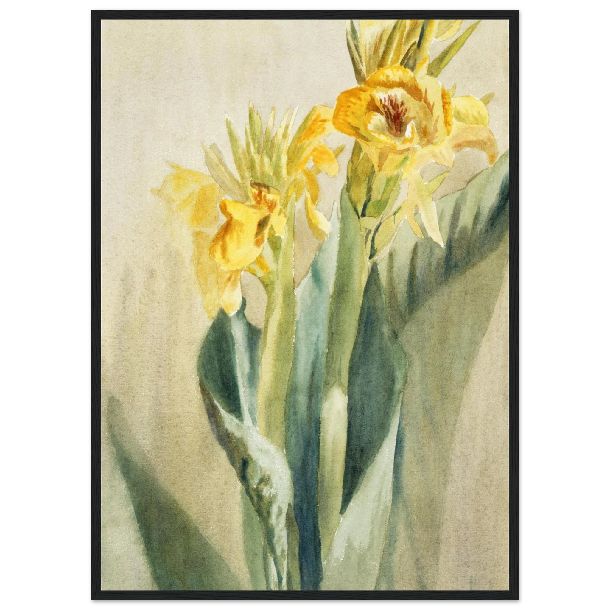 db63fea2-a810-49db-a8cf-26da51cc405b