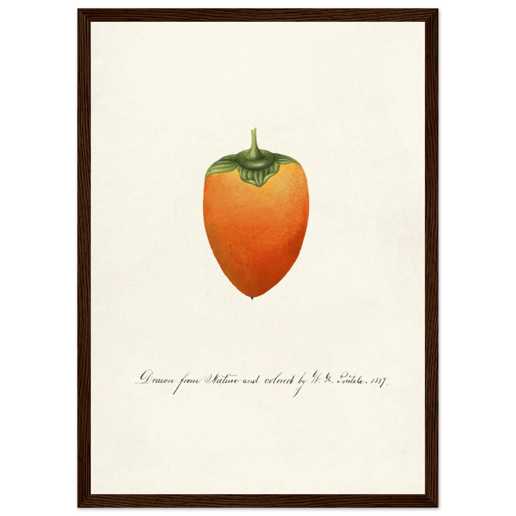 db74e749-2e59-4ef4-91d4-76d6855316d6