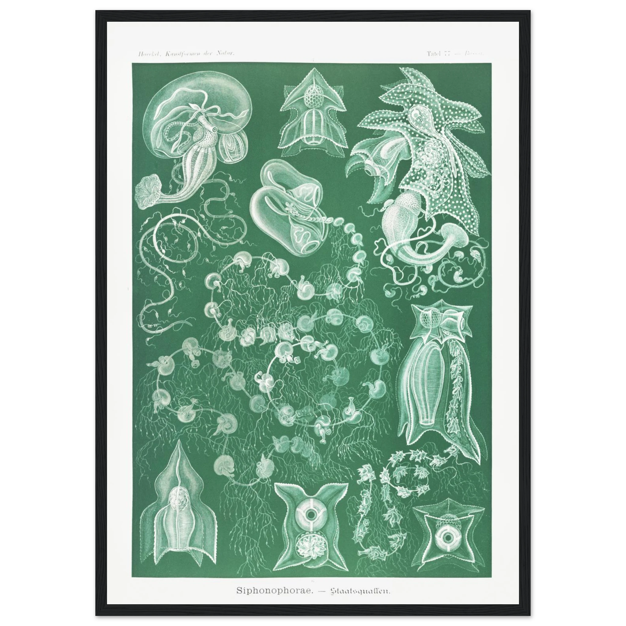 db96c1a9-1eb5-4c9a-a4c5-3056824f9a5b