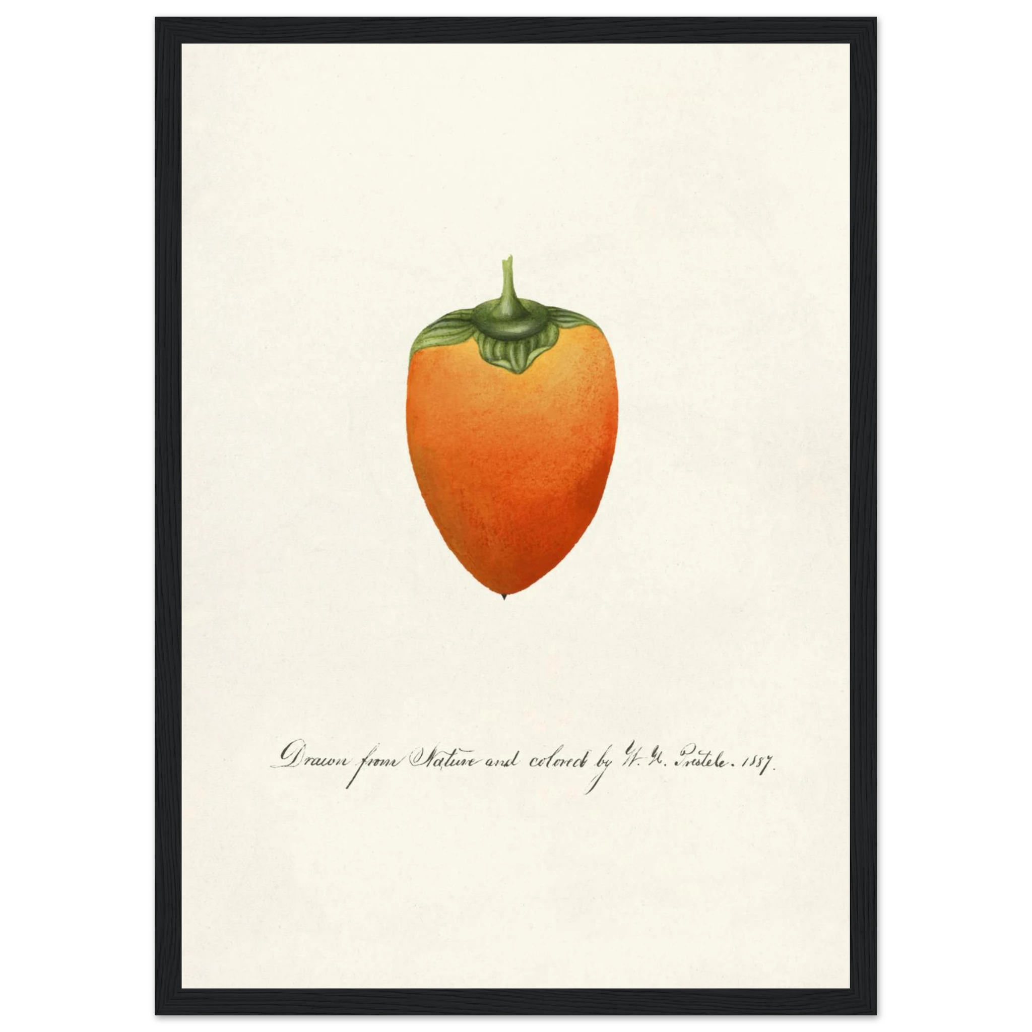 dbc784ce-3b3f-474a-b5ec-a1b319538bda