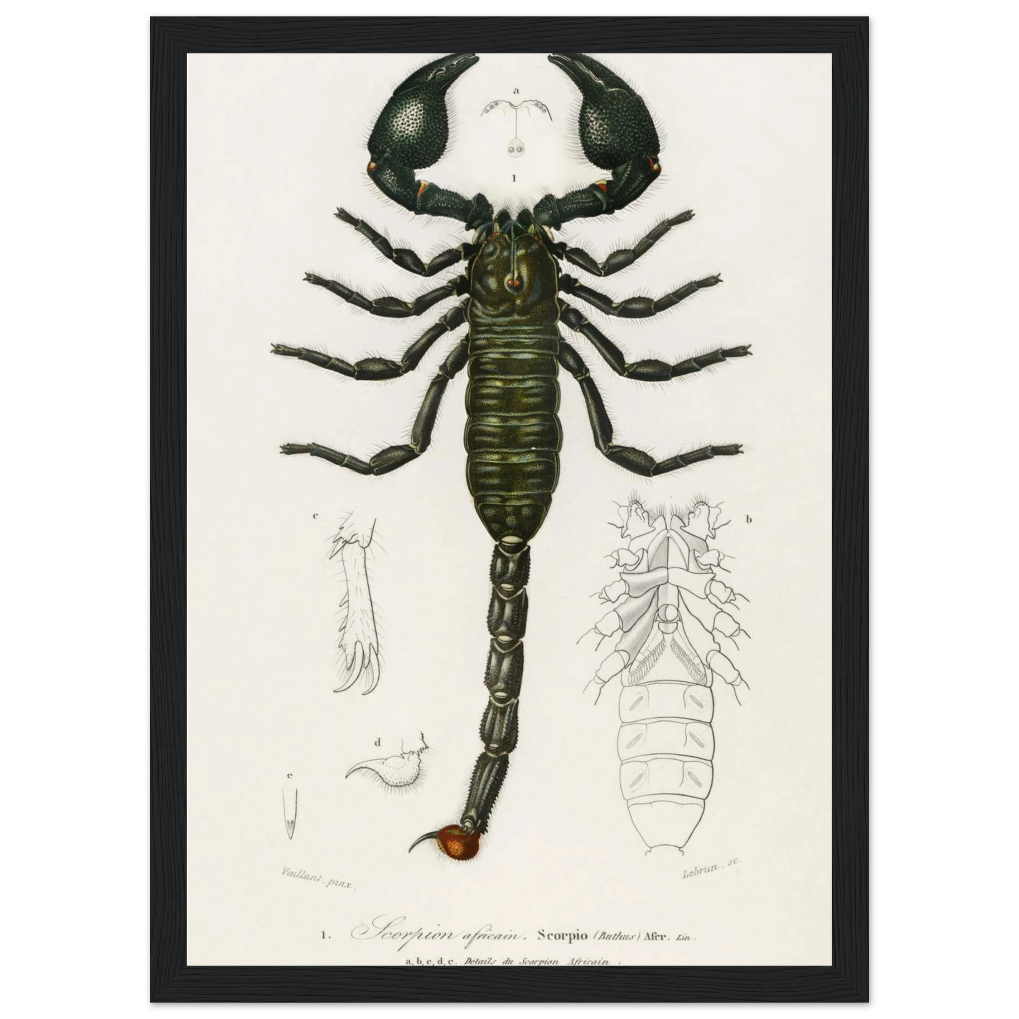 dbcda22a-5fd4-4471-96d9-40a3cbe04e5c