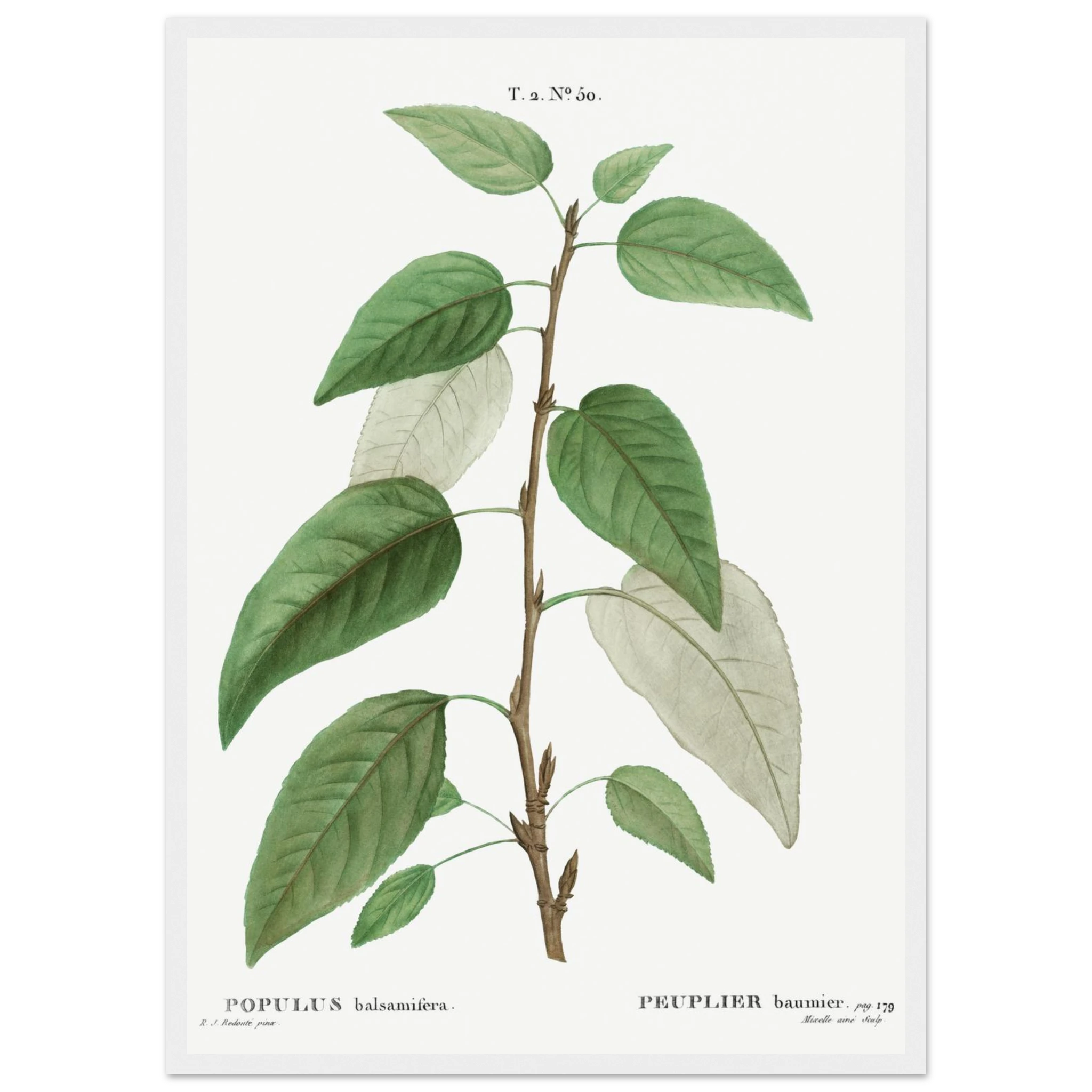 dbf9f68b-1499-479e-acb7-0e54c2423984