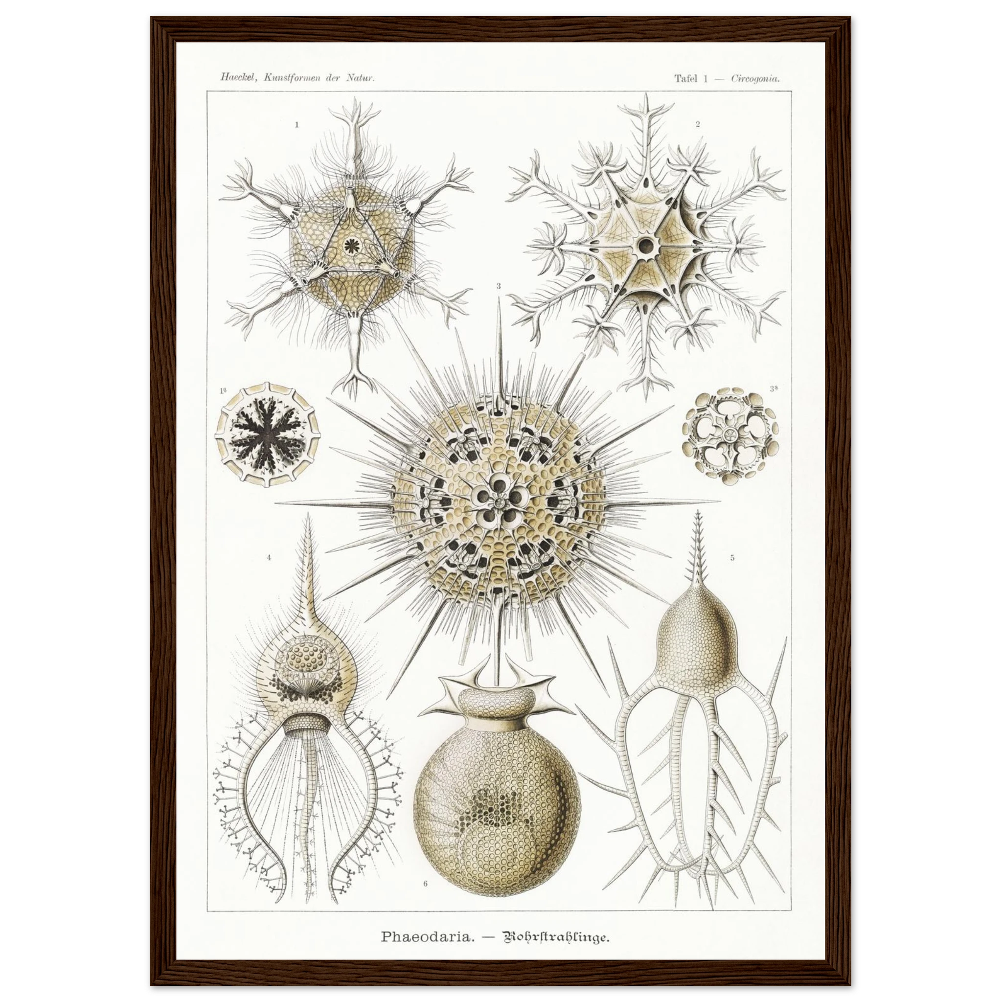 dc330882-219e-41ea-83d7-7c736a7e638a