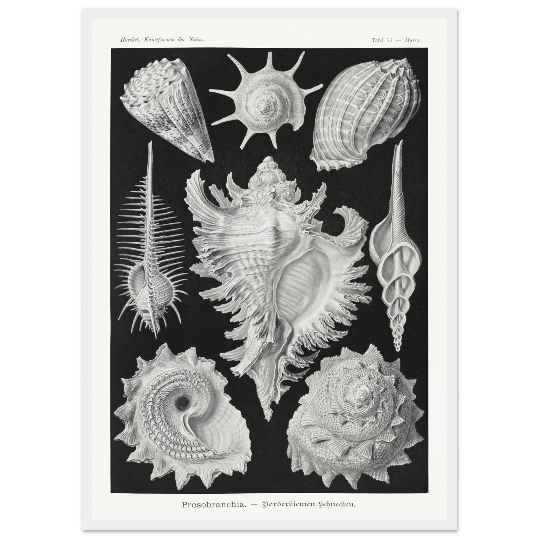 dc41143e-2621-48c4-b3aa-49569970ec44