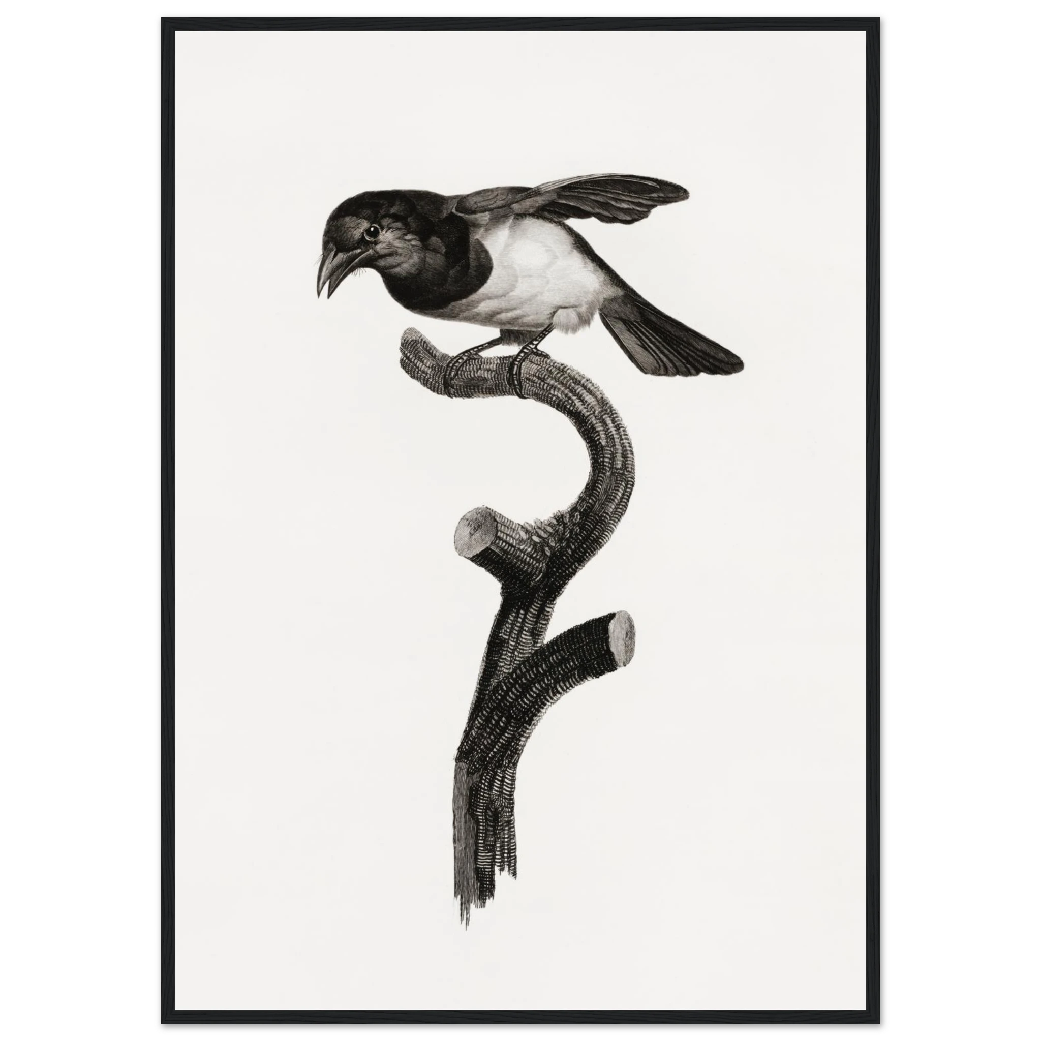 dc5b2406-9769-4c0d-b09b-2770a9a82719