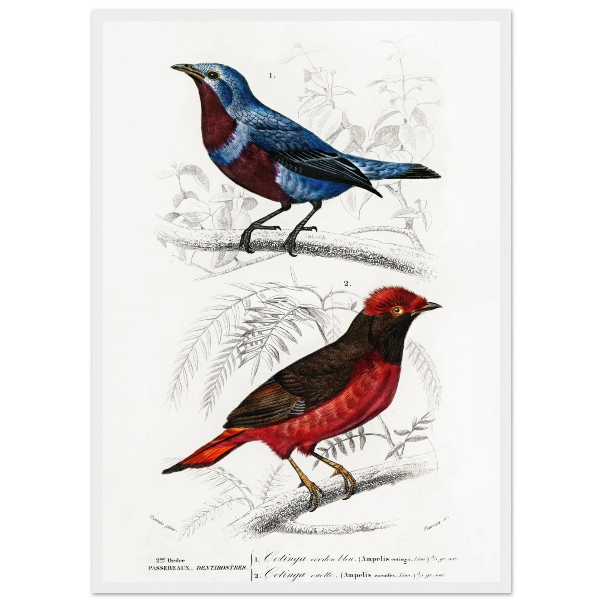 dc73bf3e-cb53-49e6-ab63-f41d164b5d8d