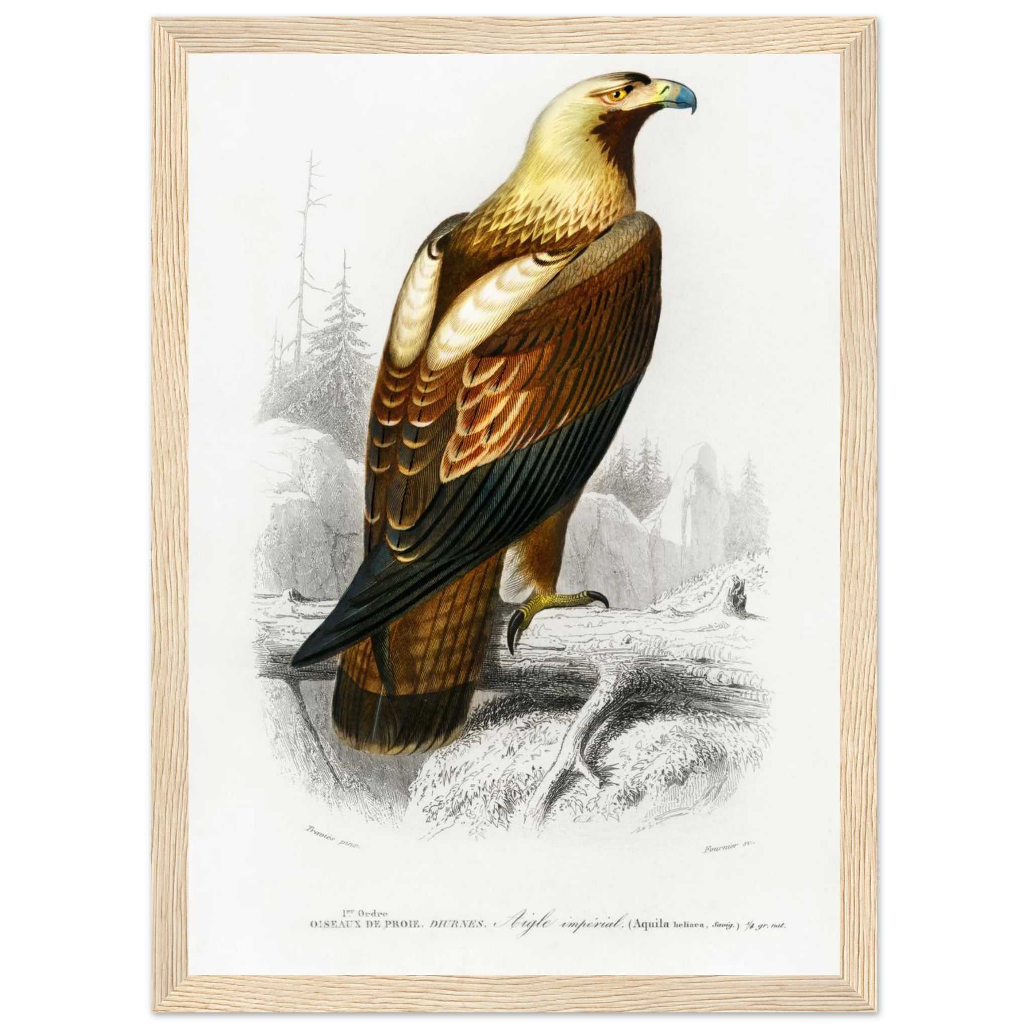 dc92ff3f-7c3f-4454-b5e6-d0e2c276367e