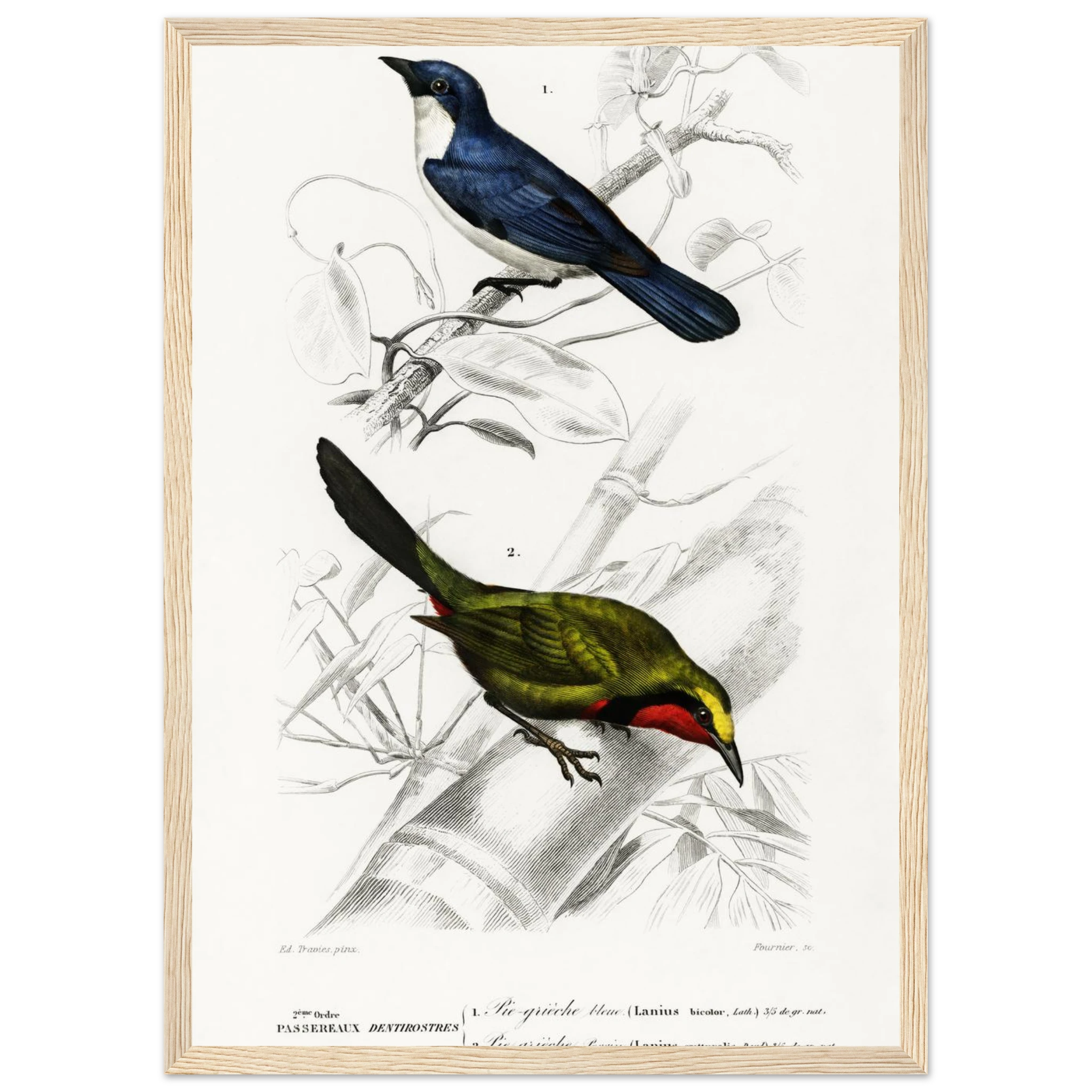 dcbb5254-1934-449e-9d43-761ab6d0d972