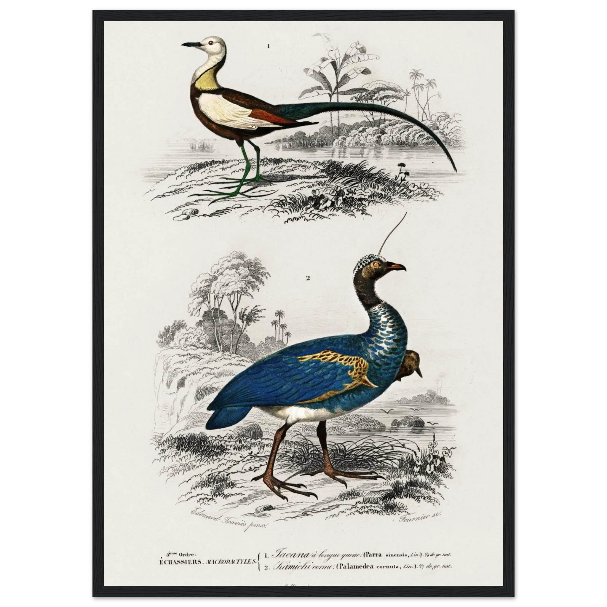 dd57f9a1-ddc8-4b12-899f-35df6a9459a8