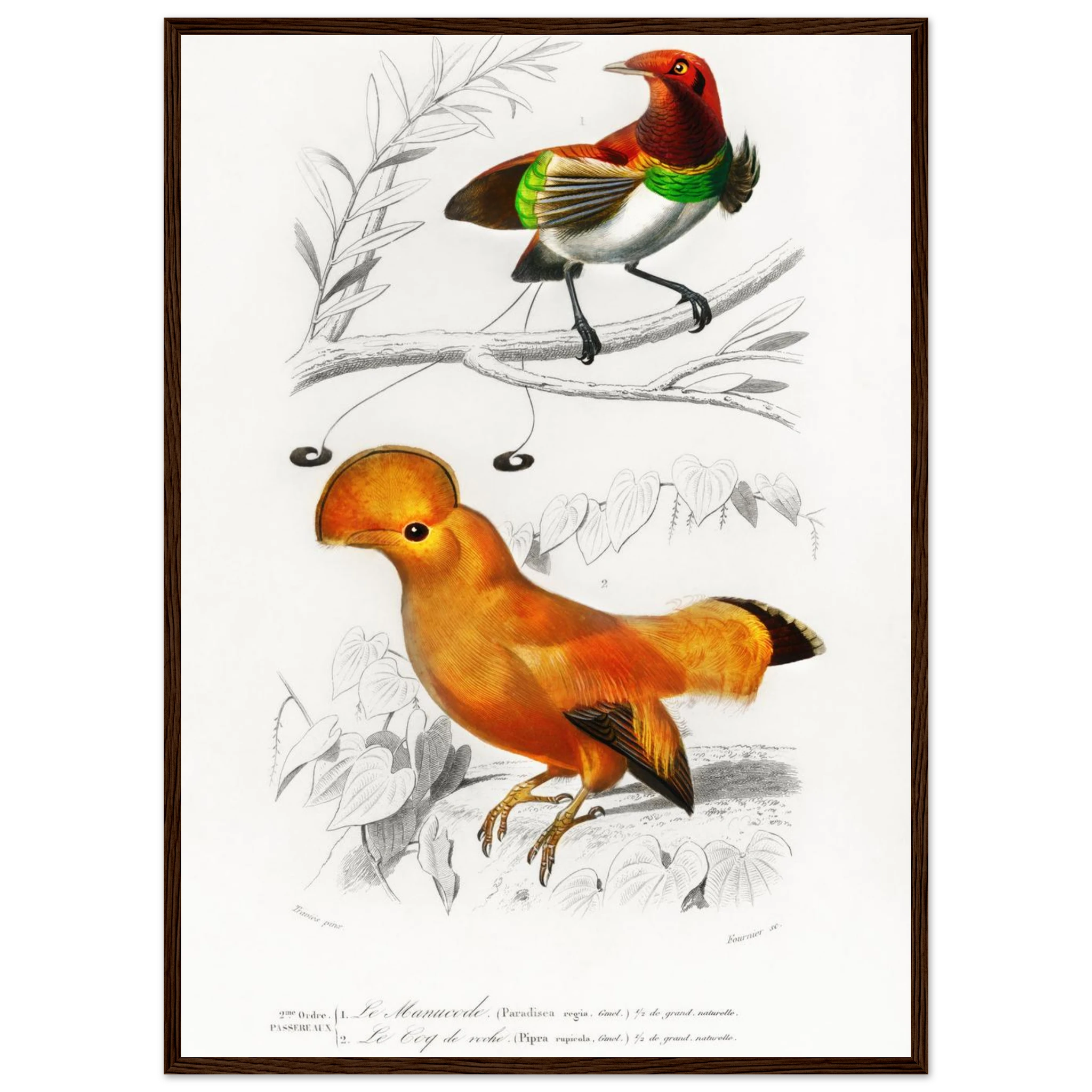 dd5a2af1-0667-48e1-8ede-b4d459a626ea