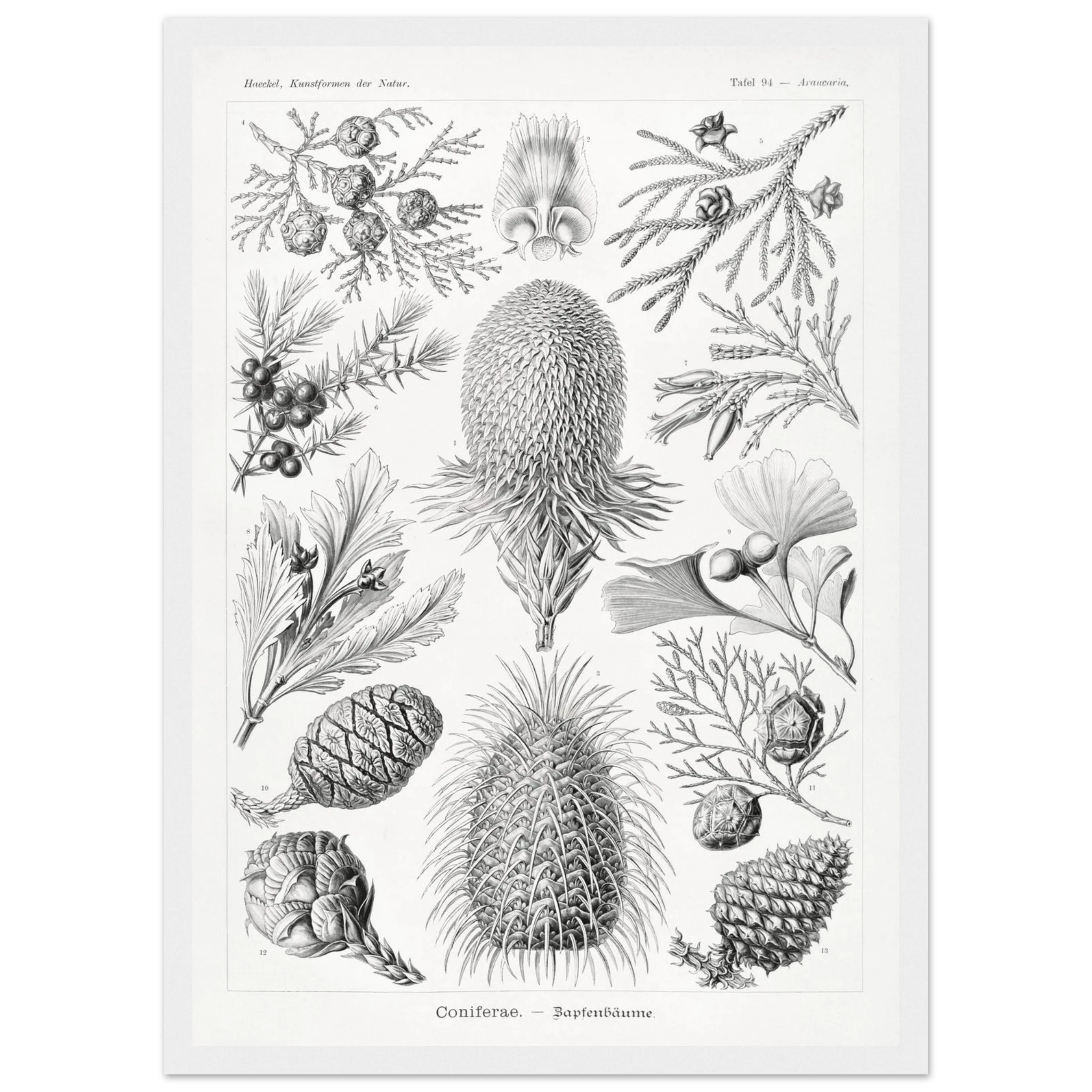 dd94c397-3afe-4337-af9b-52f908a99988