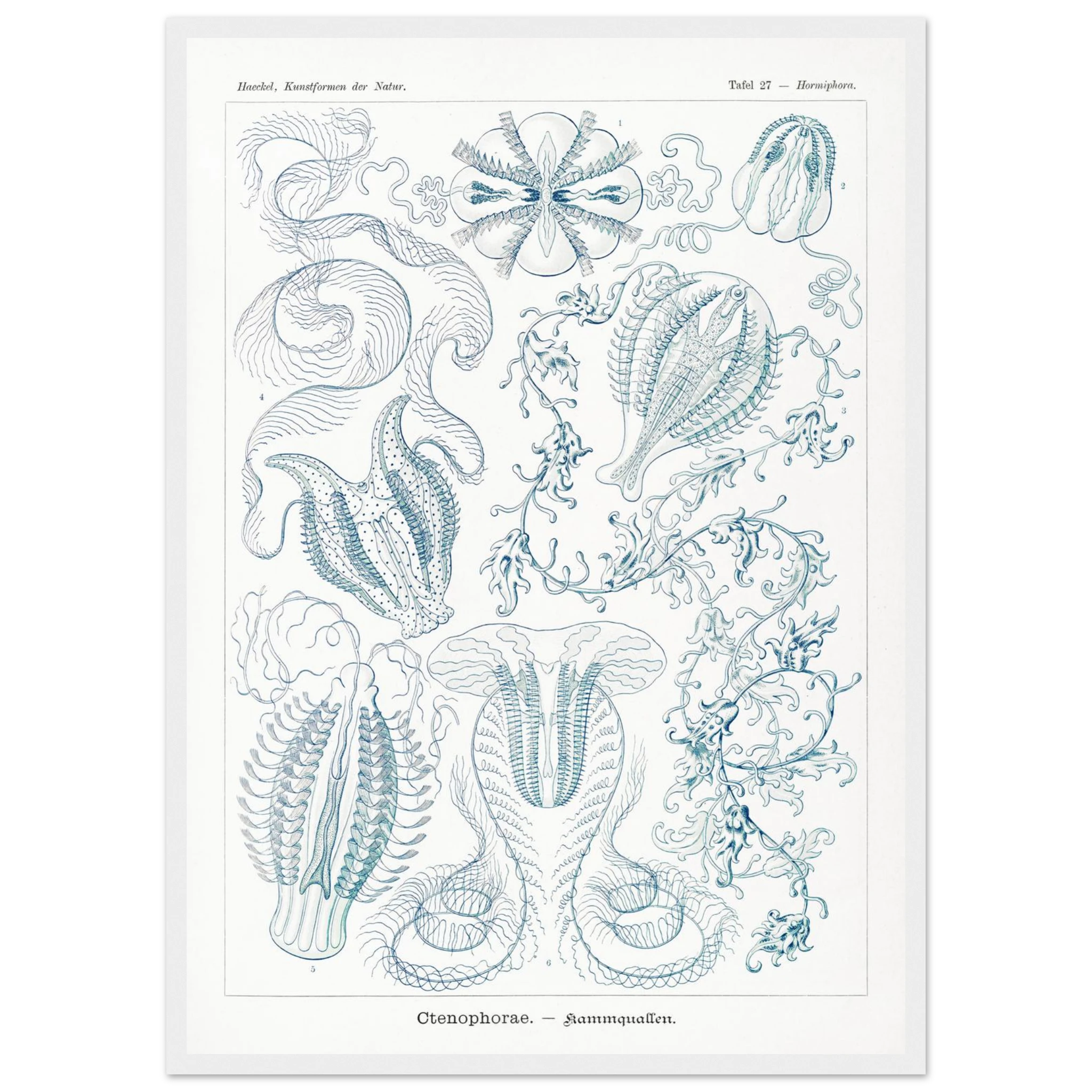 ddbc090c-231e-4c46-bc5f-fbc90eb47d24