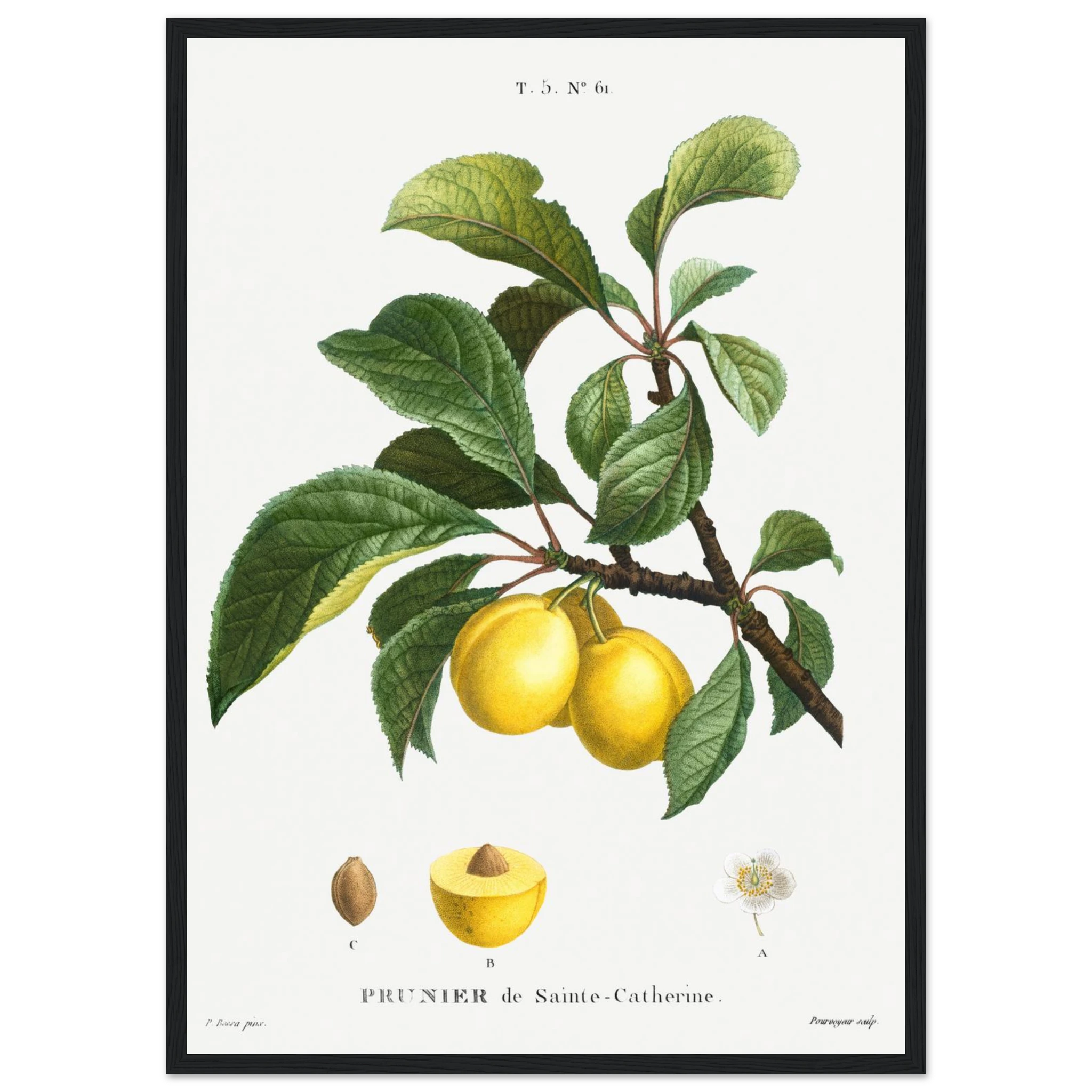 ddc5f694-c9d7-478c-b92b-e03ec5bb983f