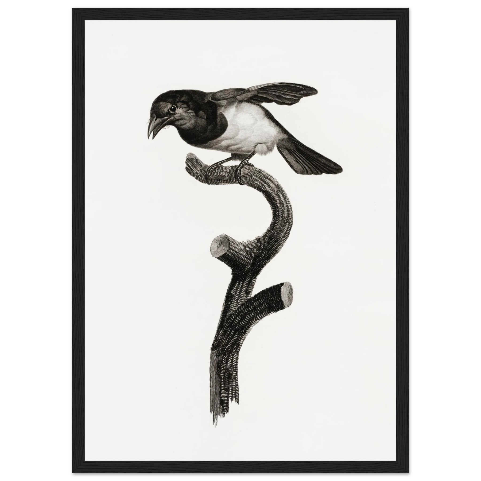 ddf5b837-4f04-4df2-933d-b2349366d4ca