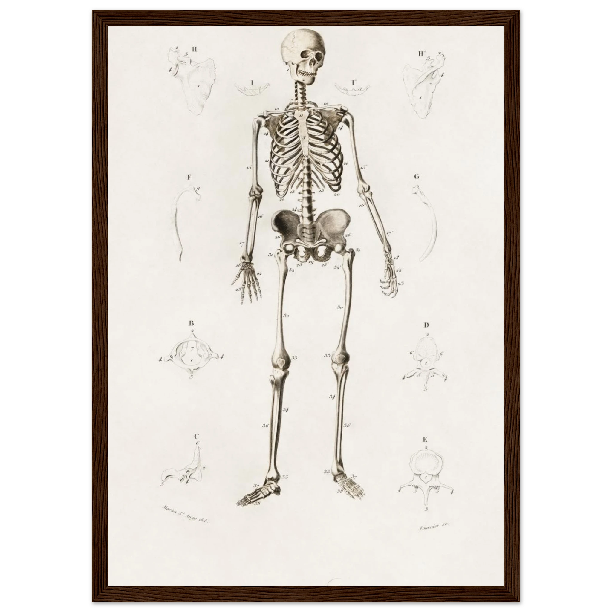 de0916ef-fbec-482c-8d5c-85a28fdc9b94