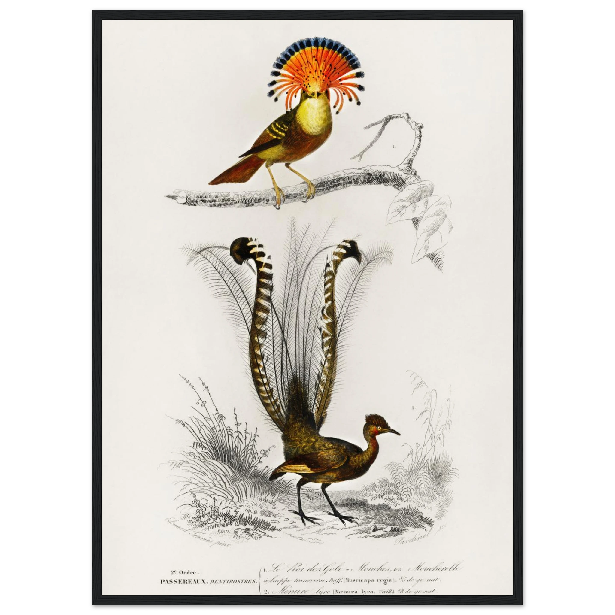 de118b49-a2a0-4149-abff-8d17de6ed40b