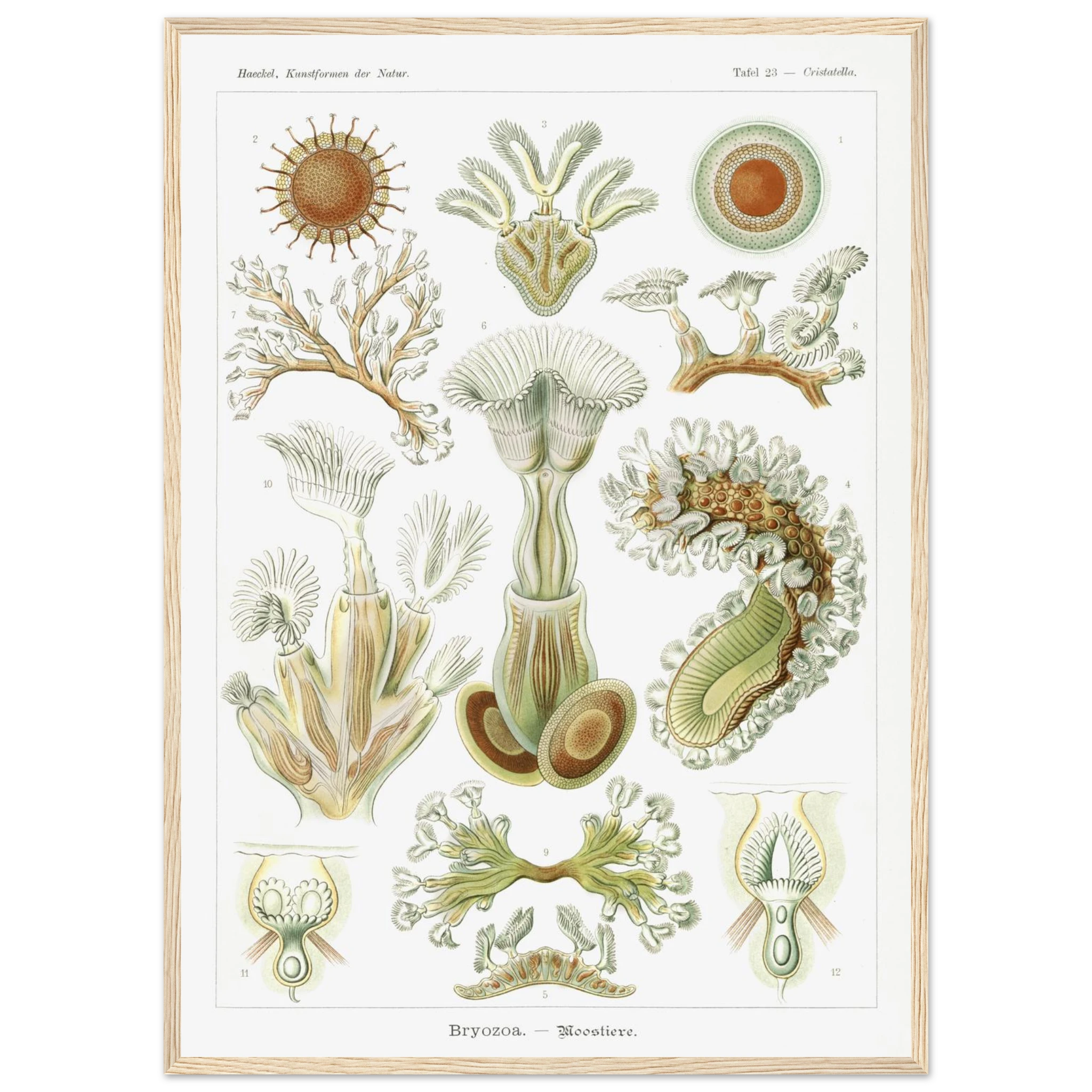 de12baaf-8cd0-455b-ba20-da5a8171cf5b