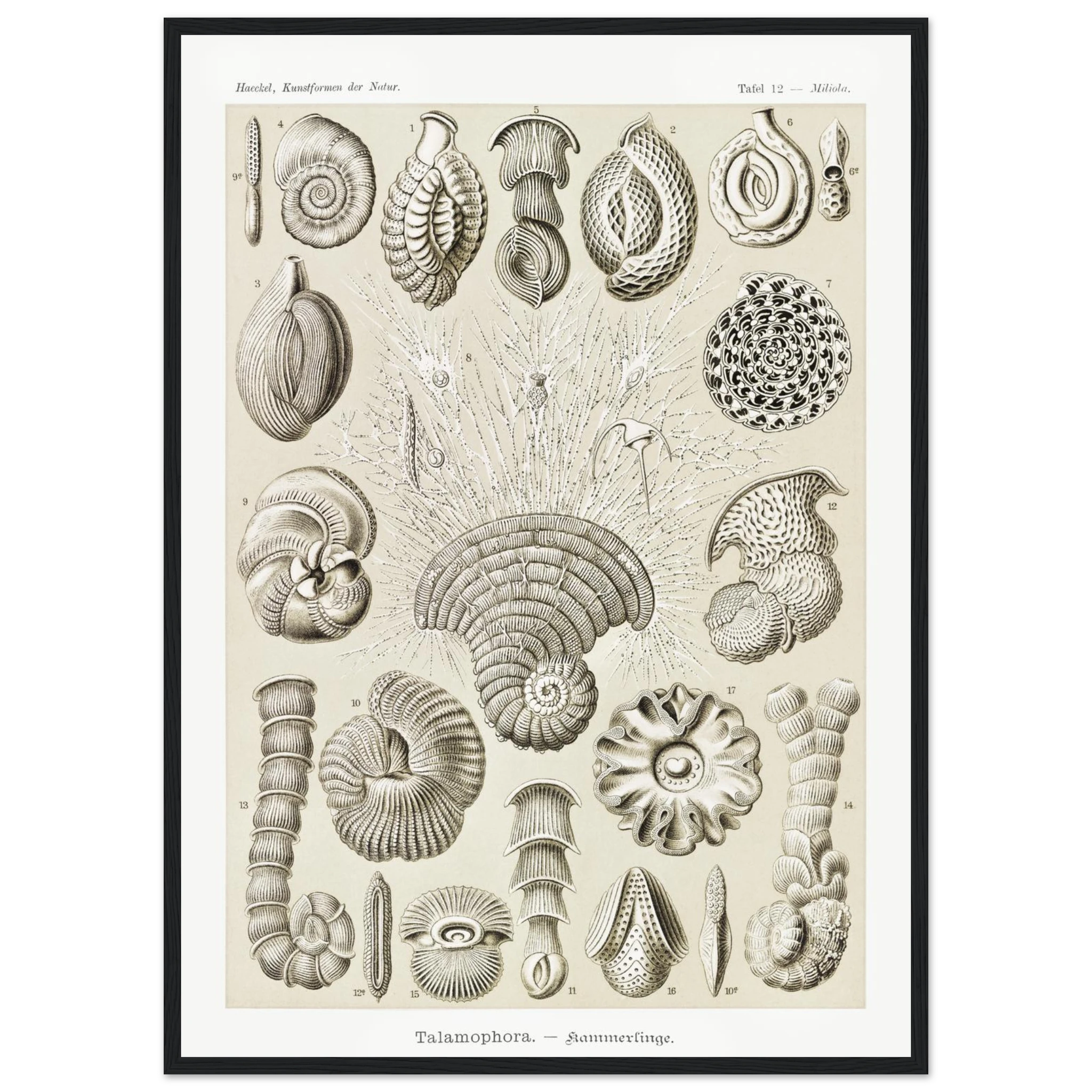 de187c2e-942a-46e5-9232-9fac91753f23