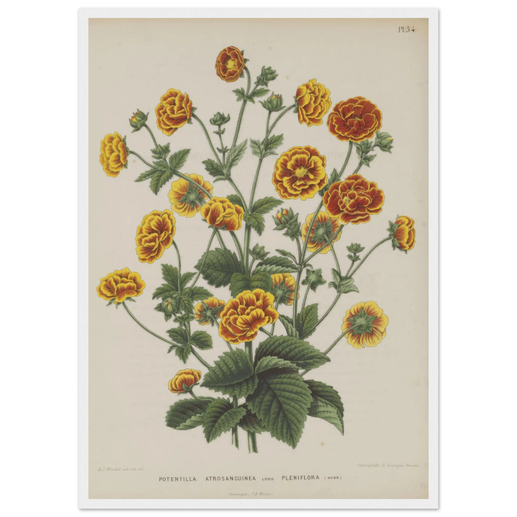 deb5b8aa-03ac-4c73-aa73-1c542e996658