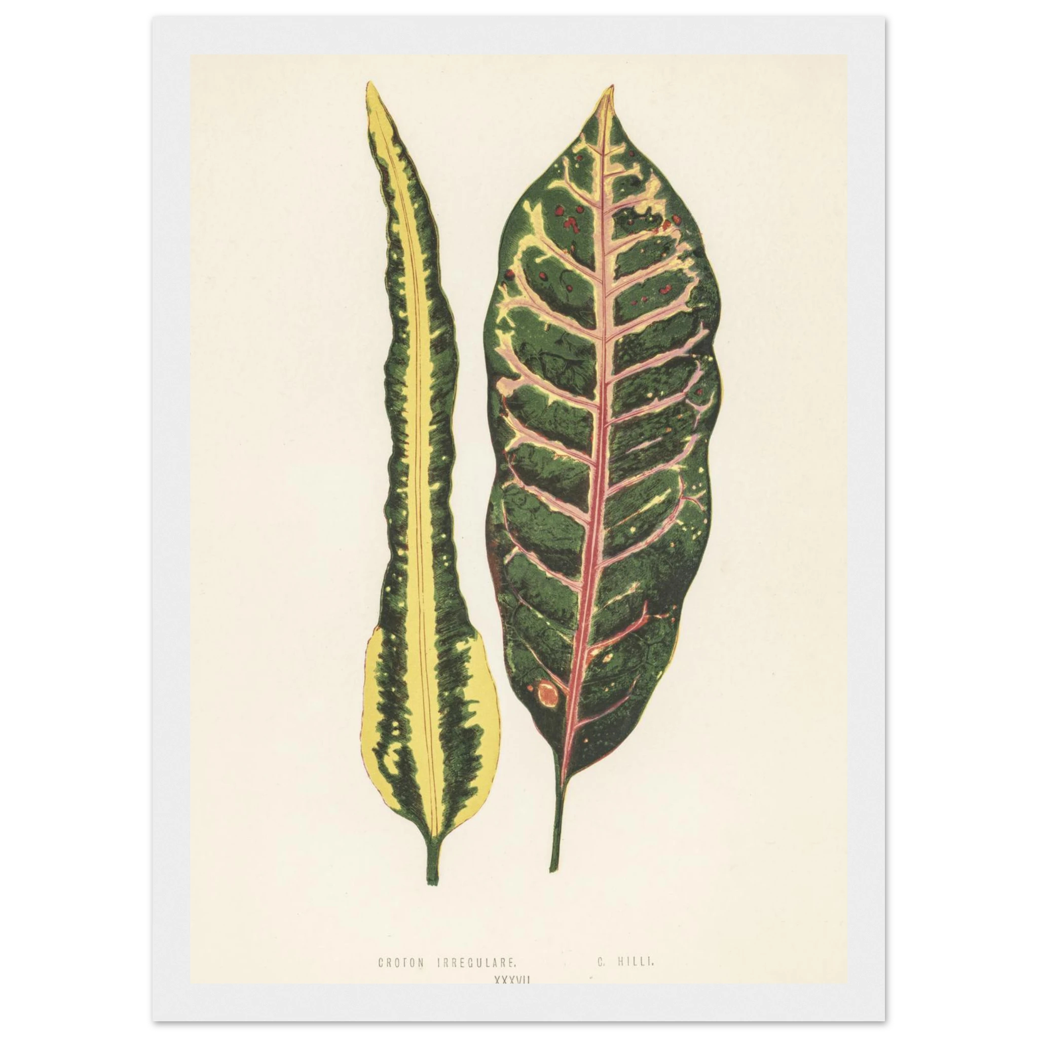 deb8c817-1e92-4985-8a13-0fd62f822d76