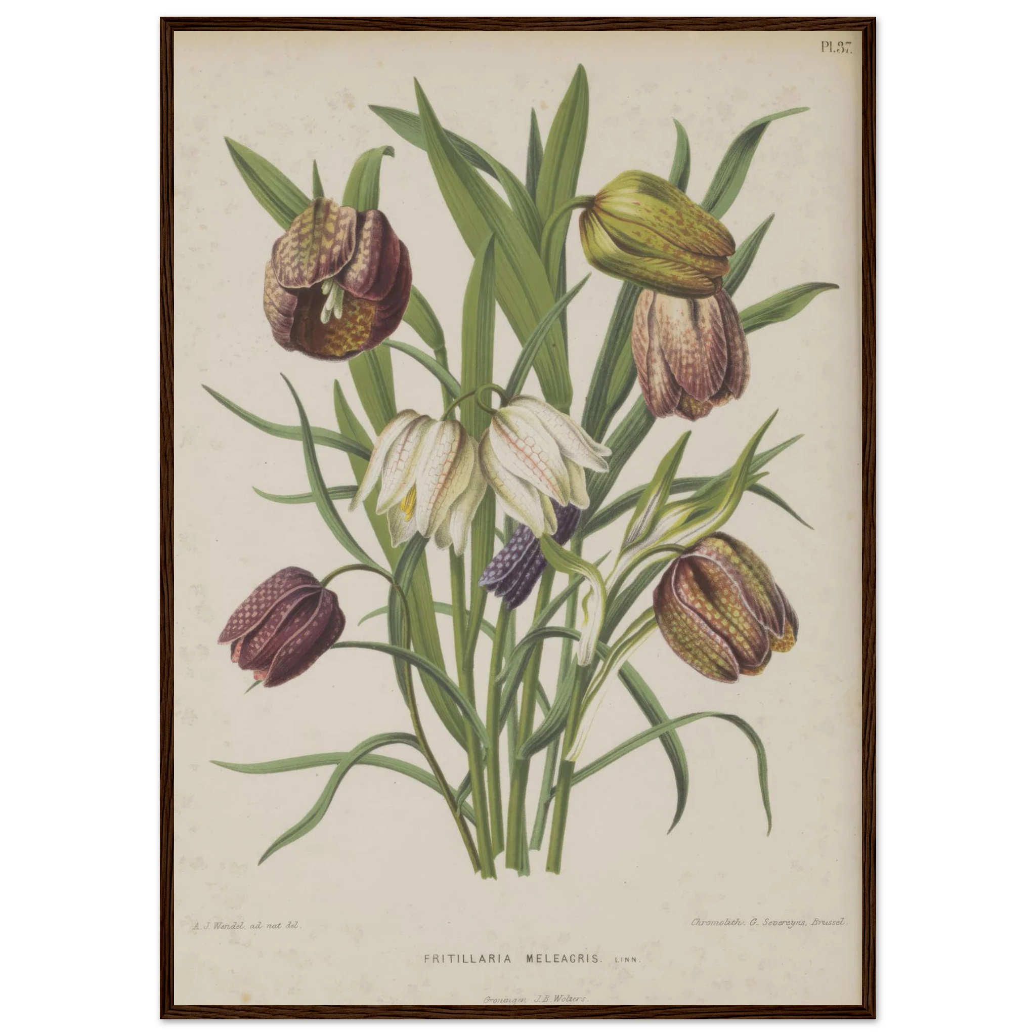 ded698ce-f436-4845-bf2b-4ace8a7f3dcd