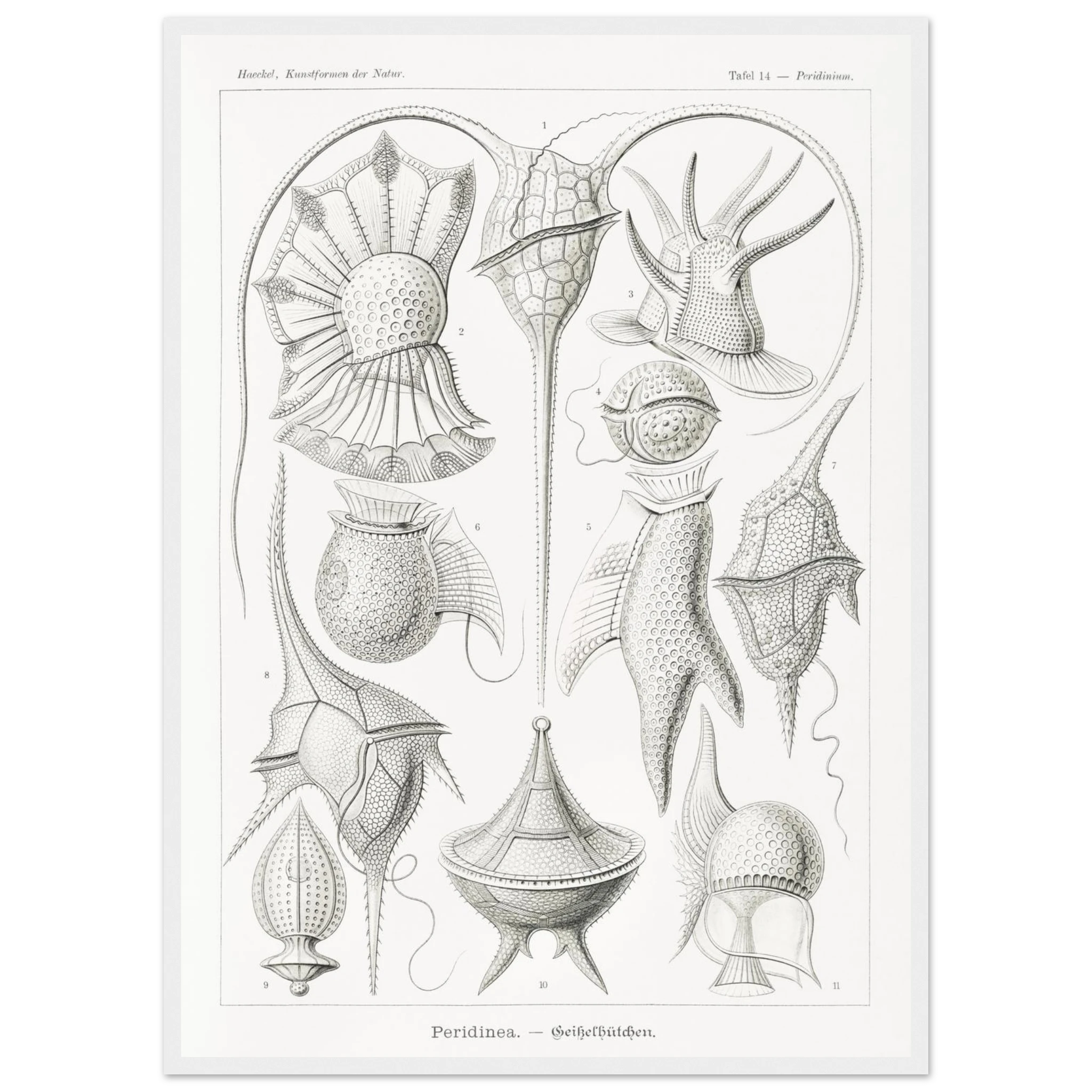 df305cb4-caa4-4668-98fd-3d28ef14a6d0