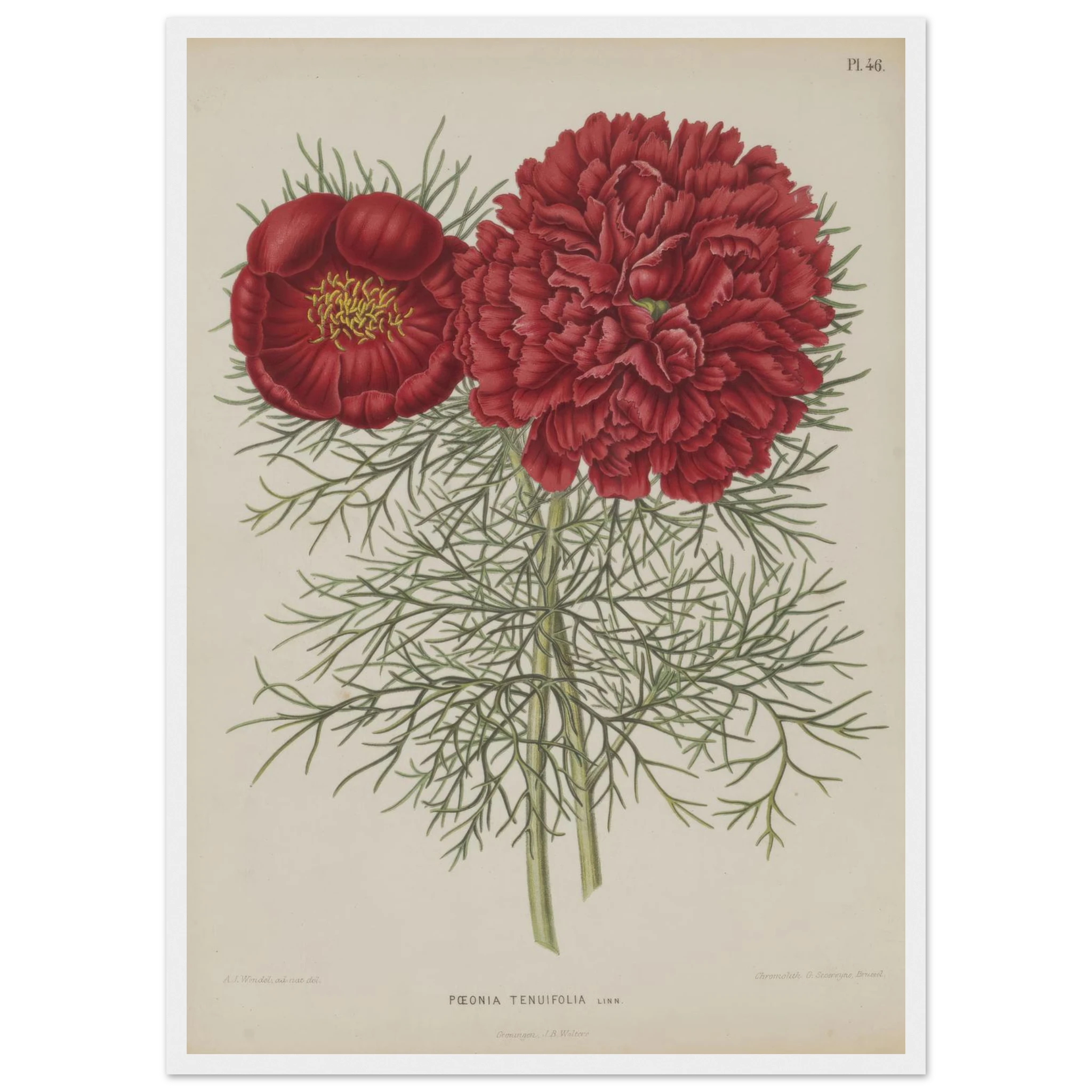 df3205a9-50bc-4074-8926-61de85617c8a