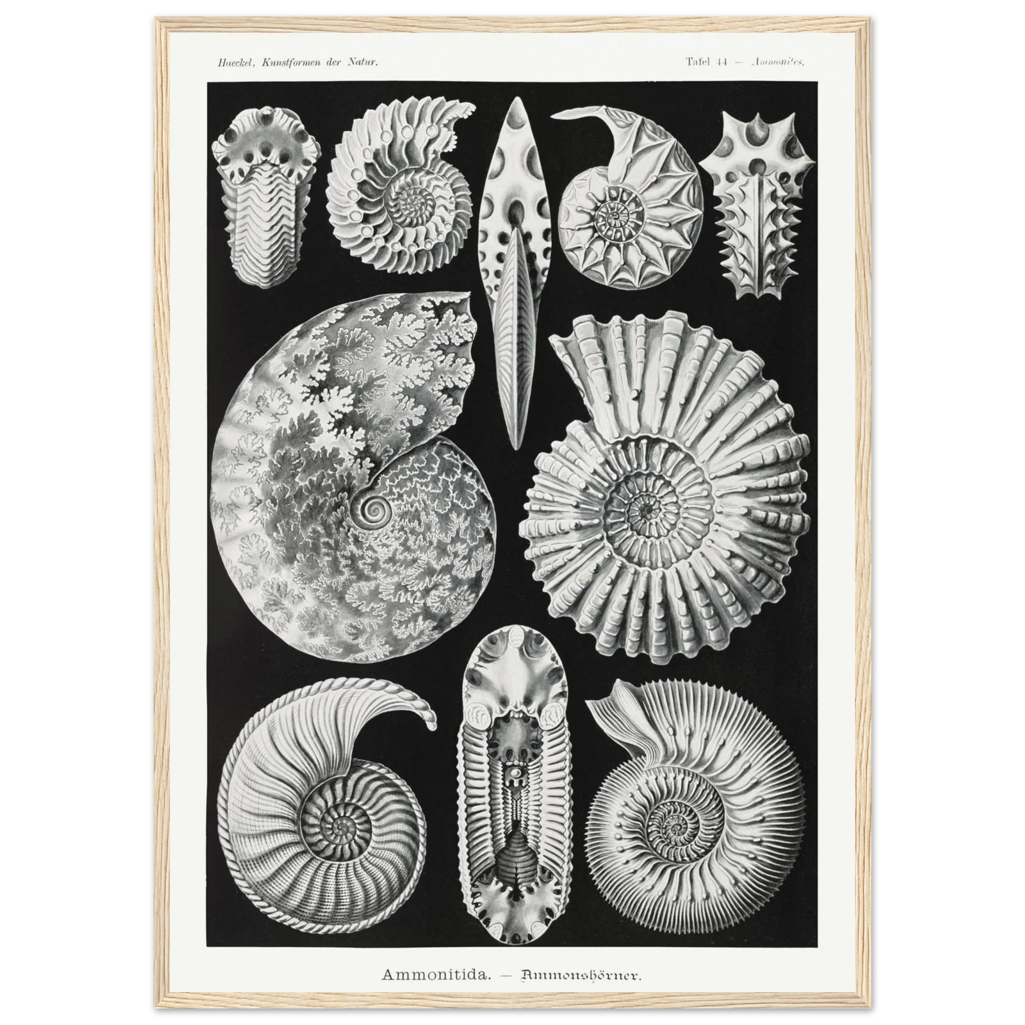 df81cf4d-3d45-48af-8c9d-f300af3eb181