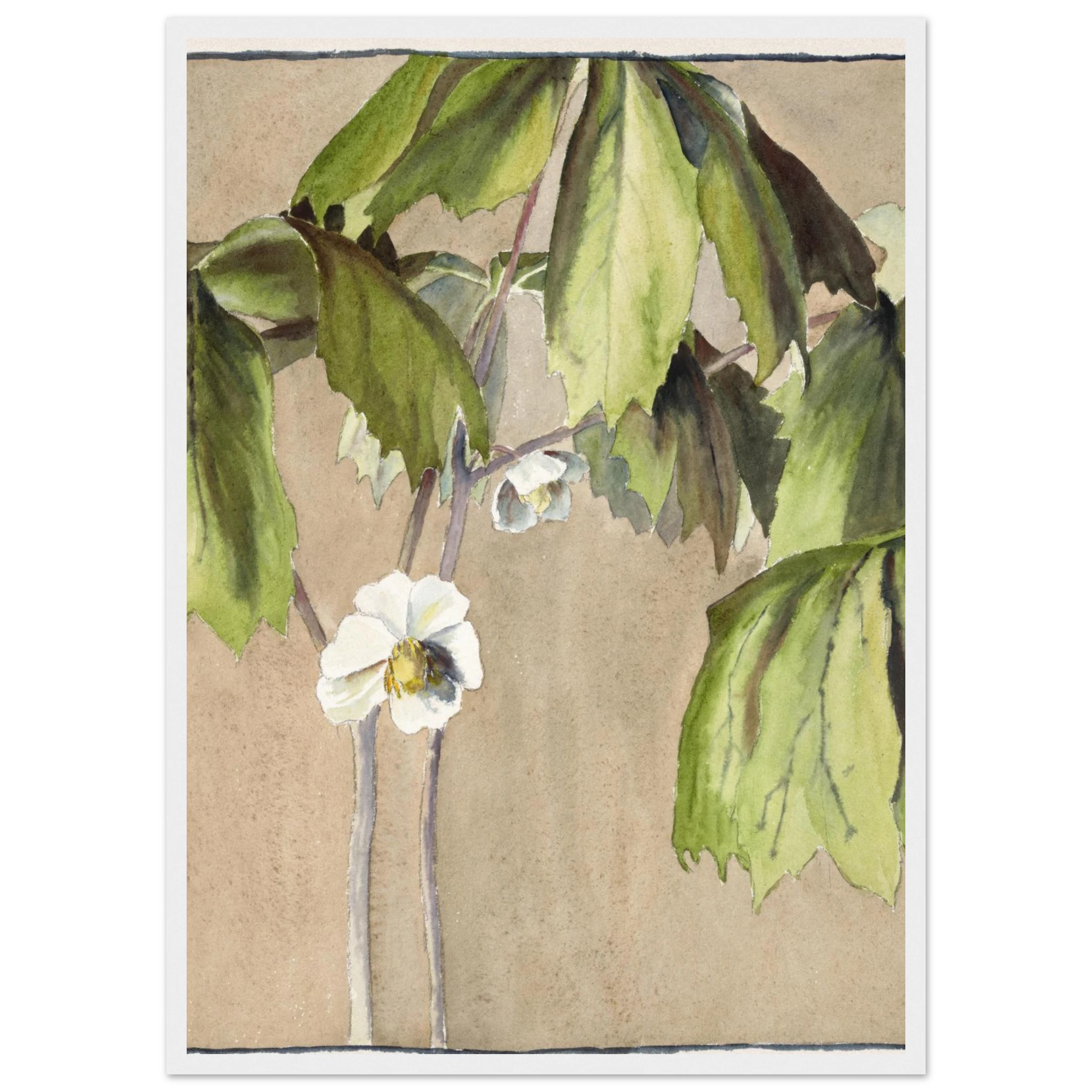 dfad128c-b9ba-4989-9415-894c87adcc40