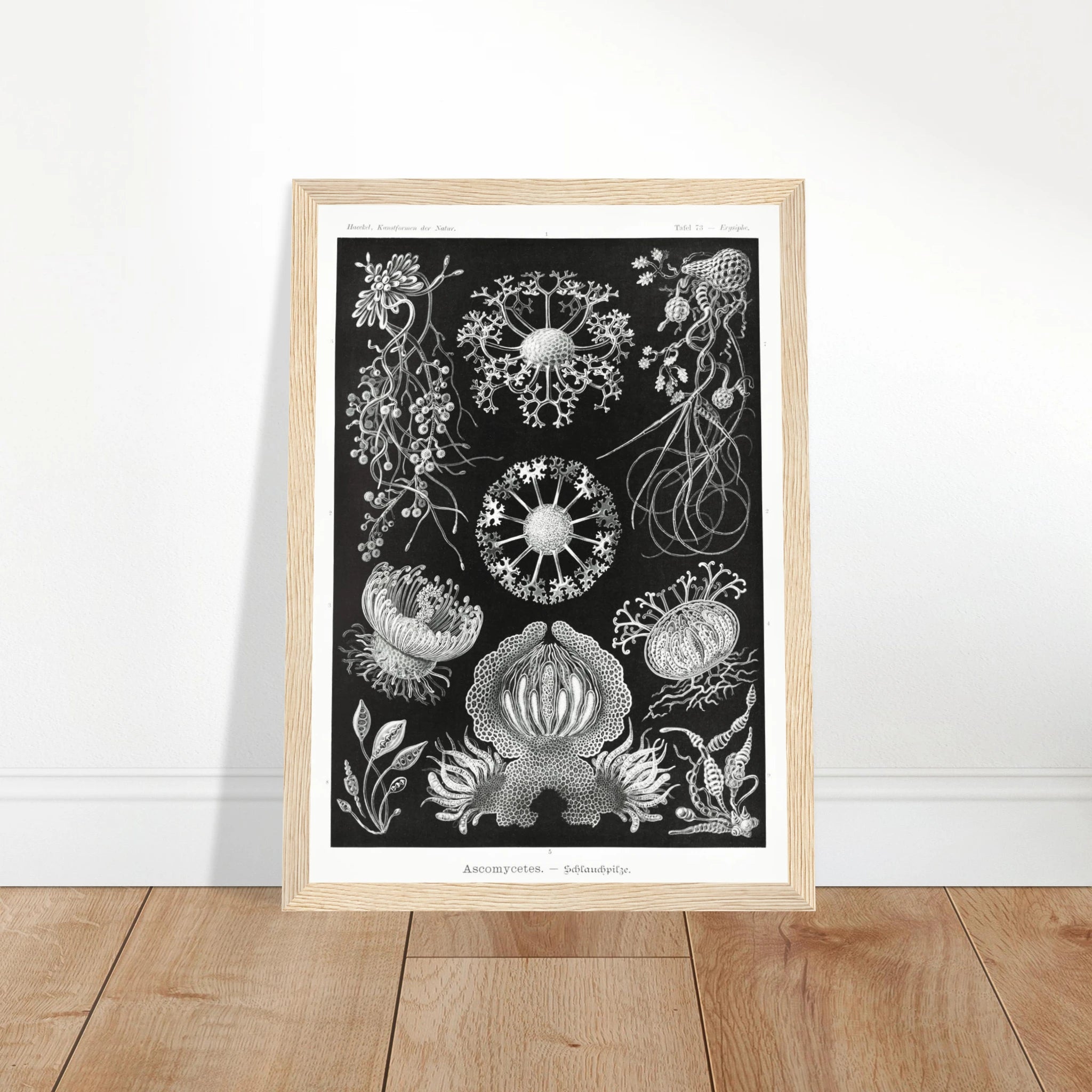 dfc7671b-4c80-41b8-9447-fd6742c1b977