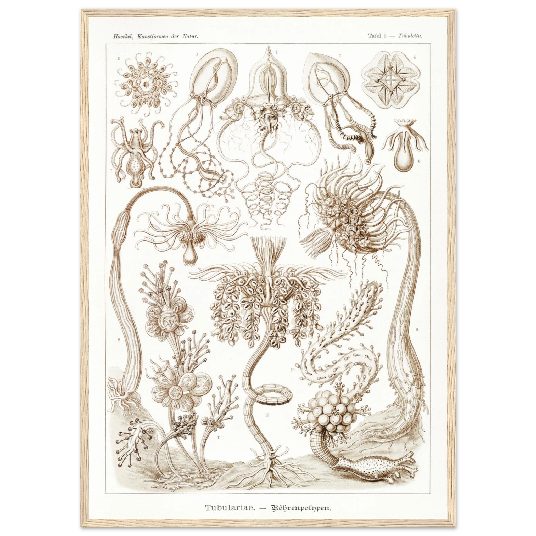 dfcb68ce-fe37-4d8c-8b09-7e8e7bce86e3