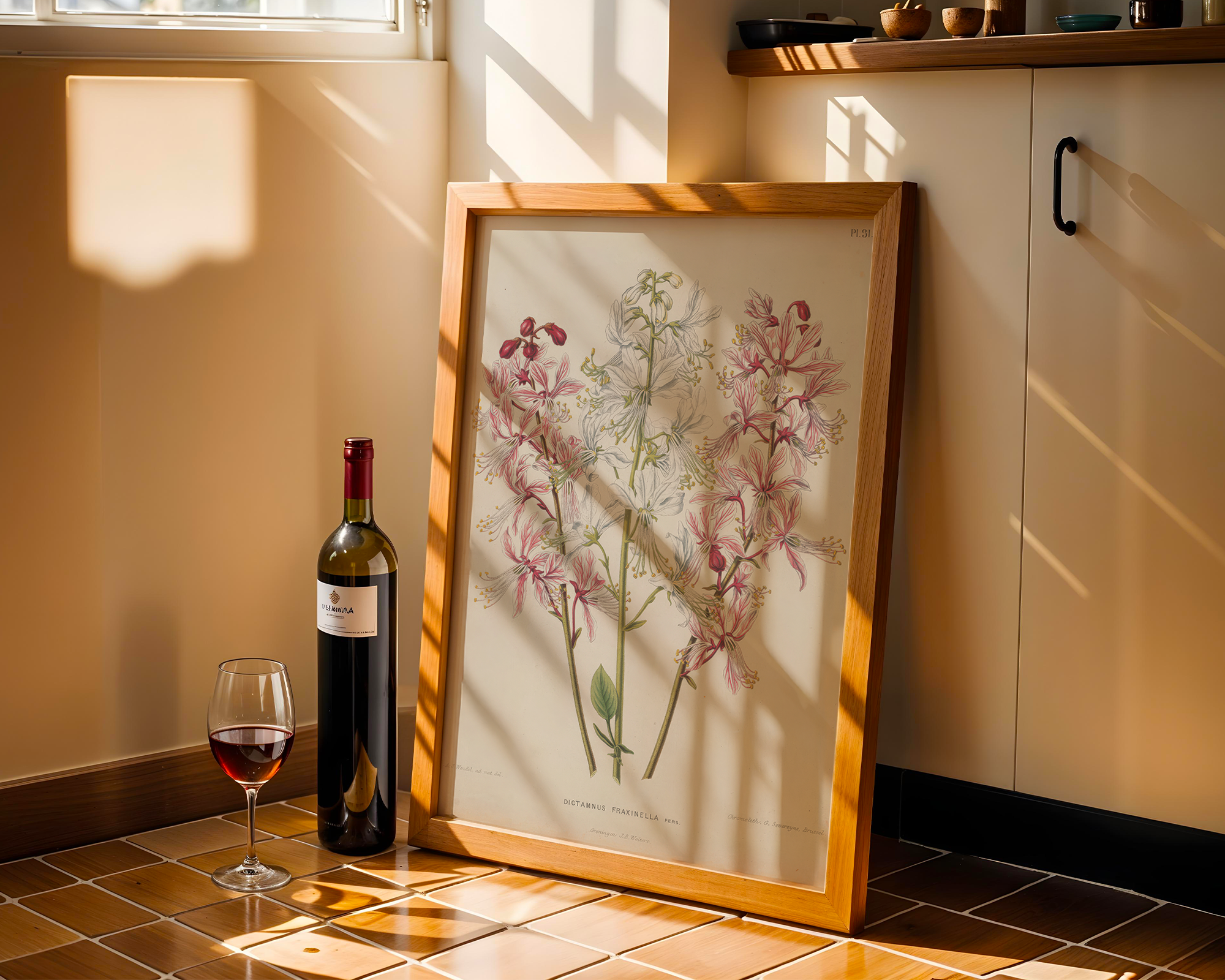 dictamnus-albus-l-a-j-wendel mockup