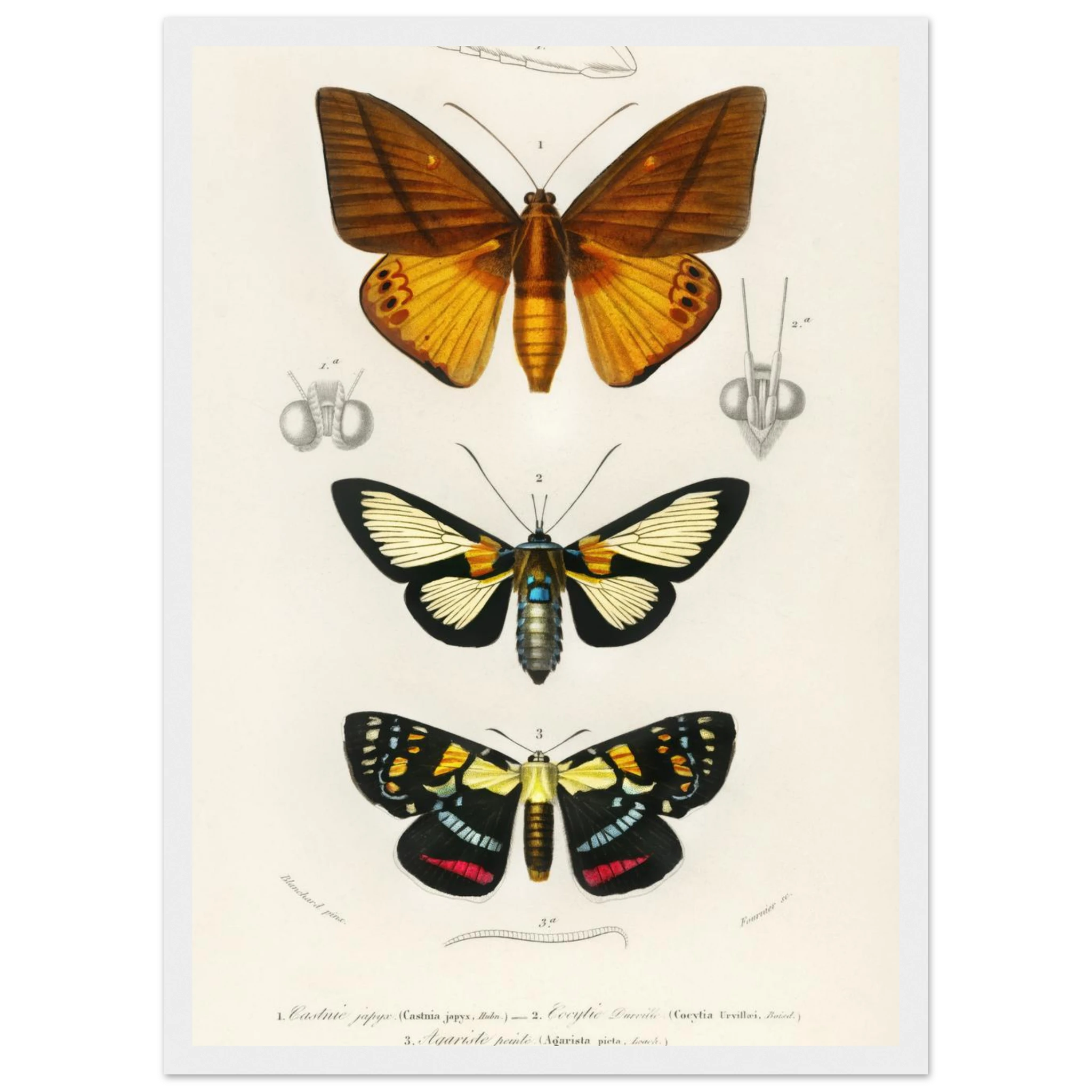 e018edb9-12c0-4d07-a8ee-5c1c17b6012d