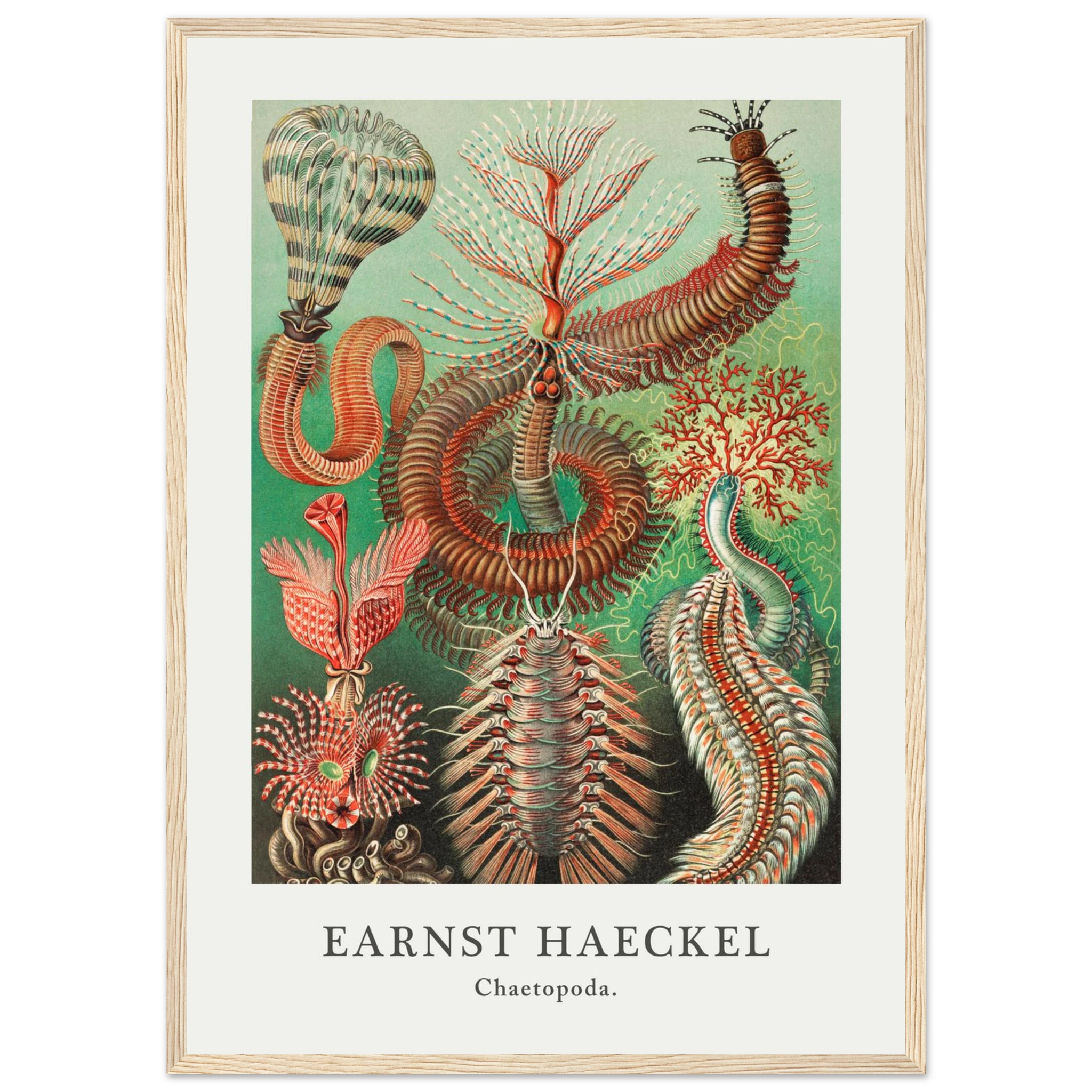 e0414cc7-7e19-41b6-8b04-d0e6046f6724