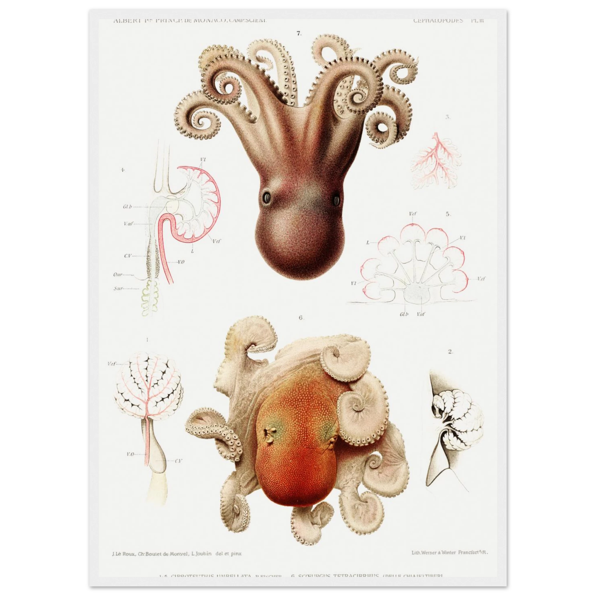 e0711fda-4286-4624-9b79-9963c56e51a1