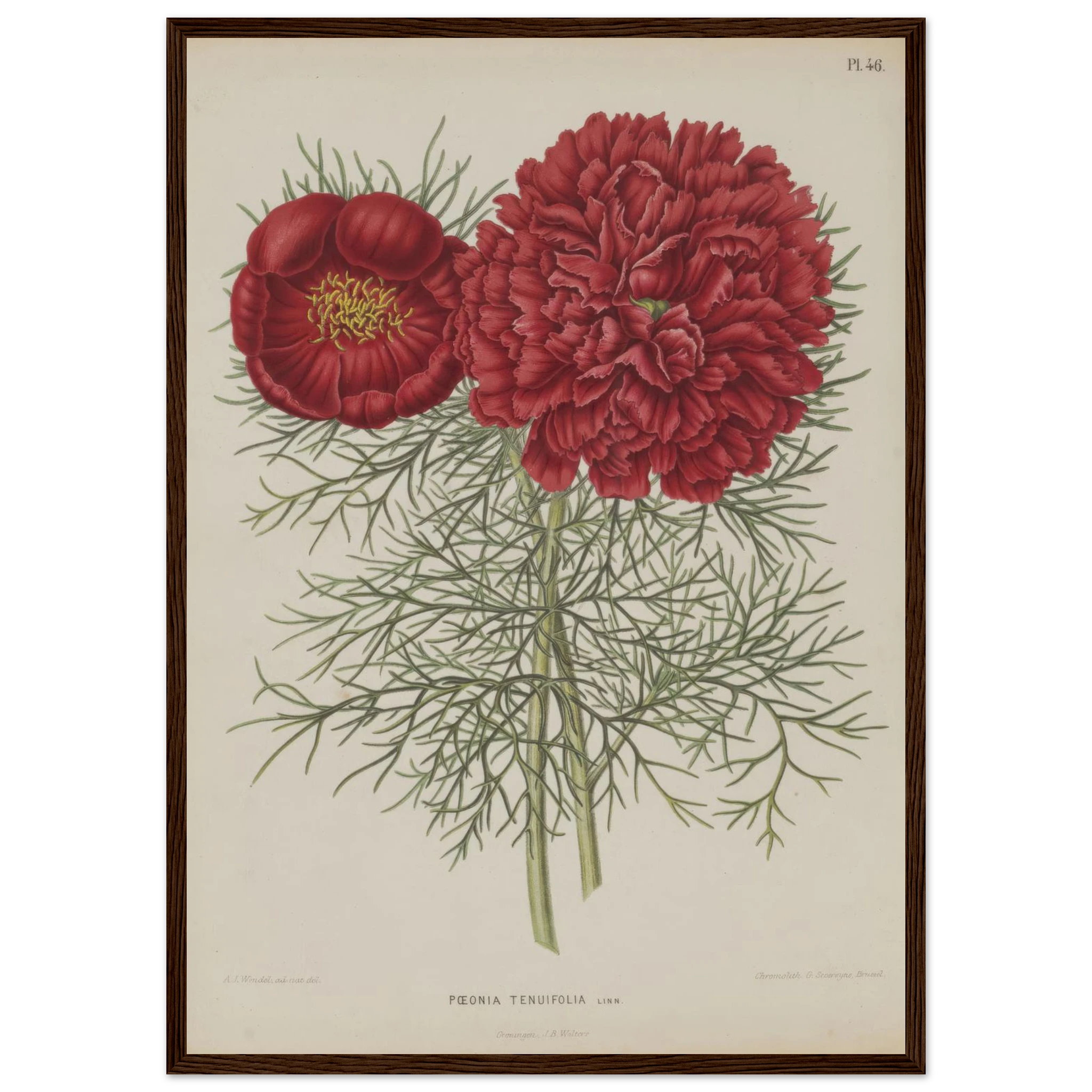 e080ad5c-a1c7-4c3a-8dc8-4bc63bf4e3a5