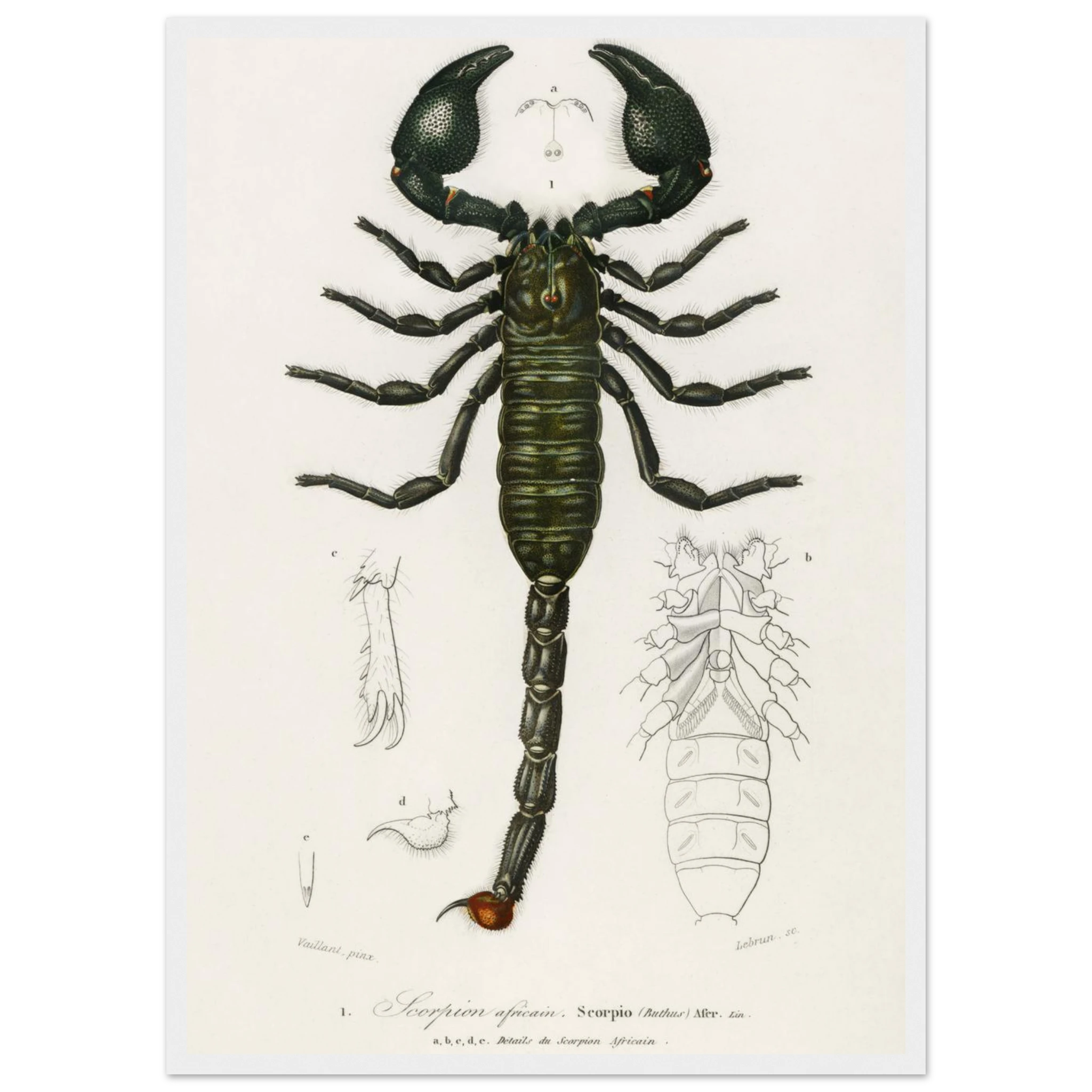 e090796a-fcd9-4f7f-9761-e78add981131