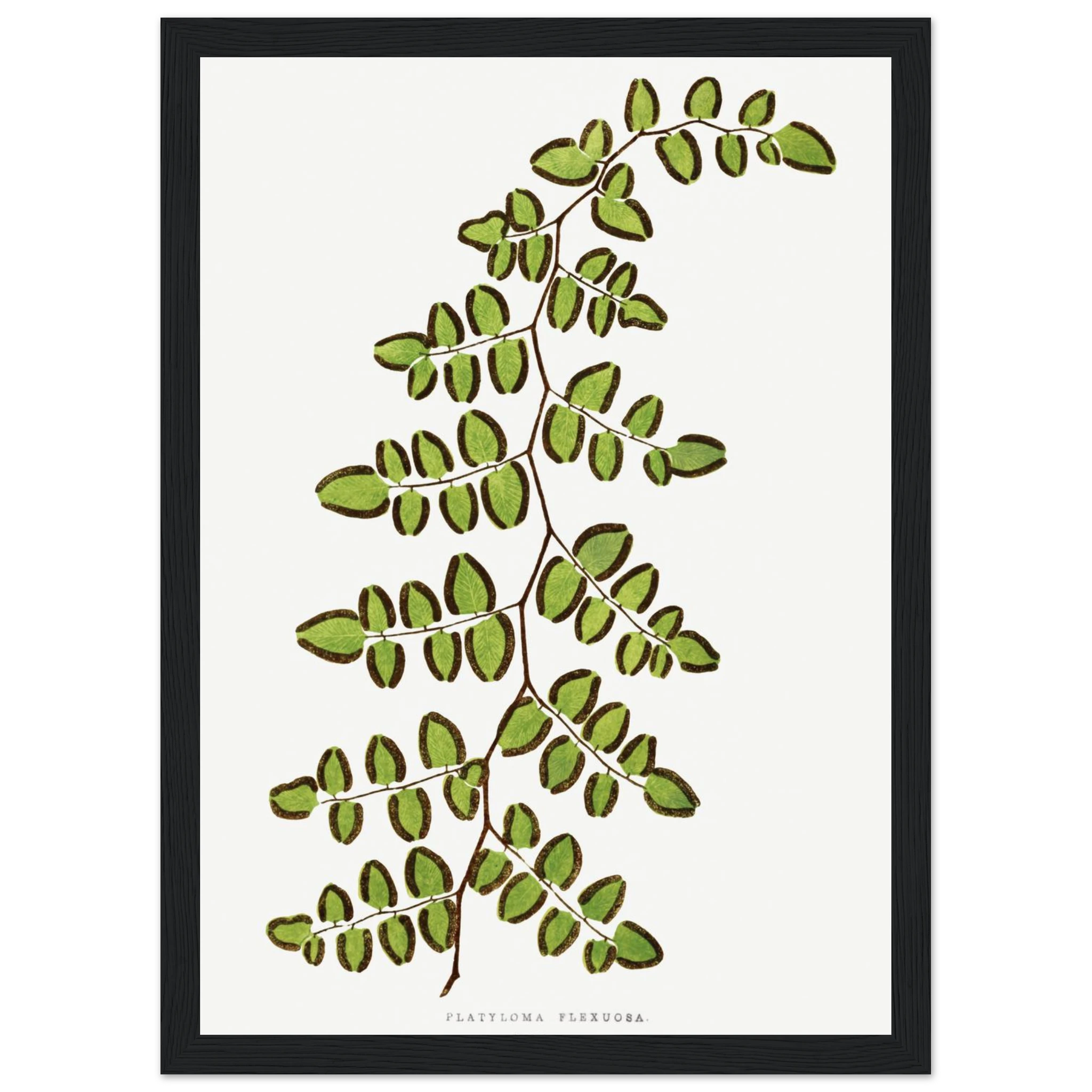 e09ce24f-cdaf-44db-8f58-bc8763763cbe